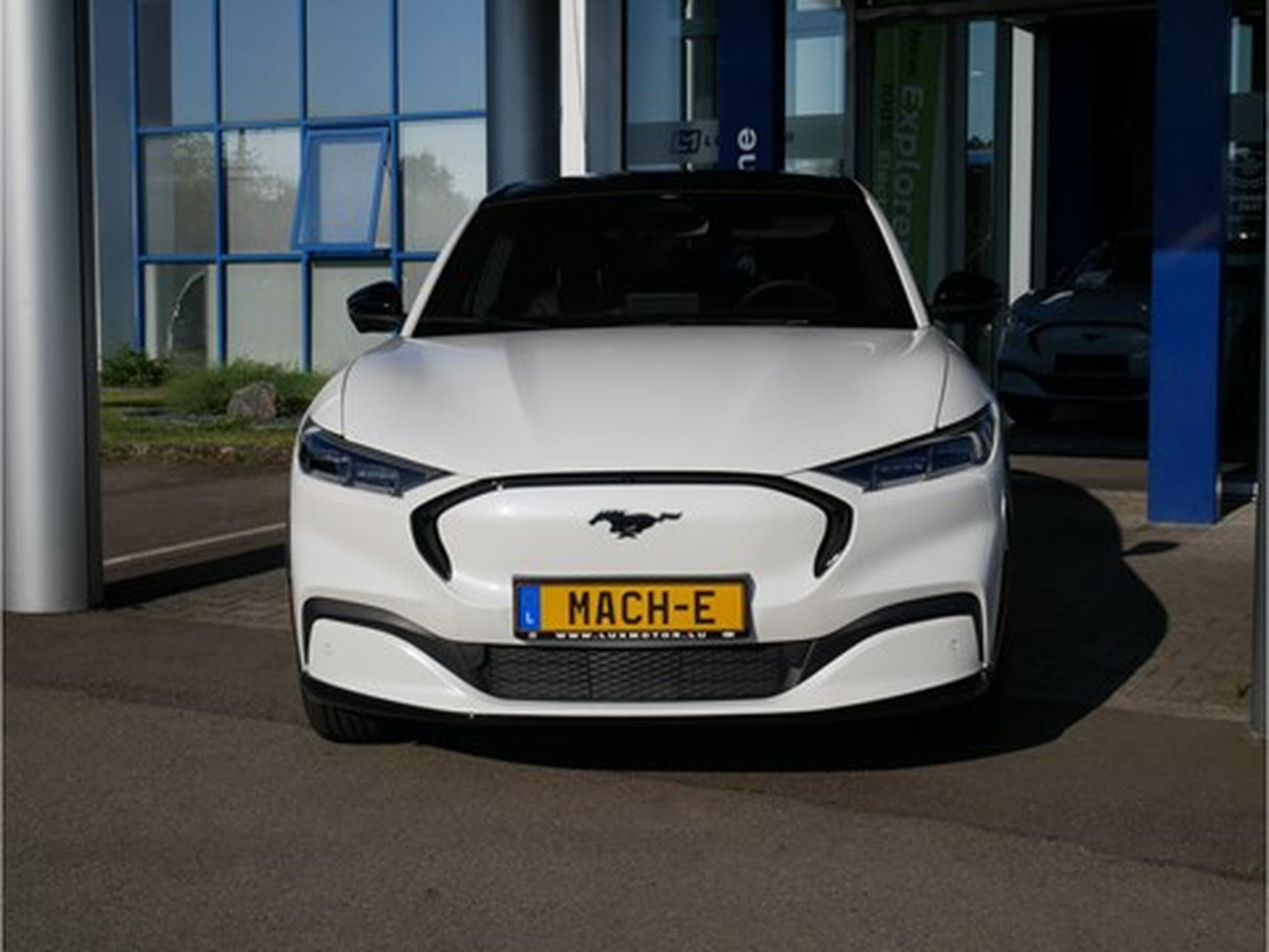 Ford Mustang Mach-E Premium AWD 99kWh Extended Range 351ch/258kW - A1 (2025) - Foto 1