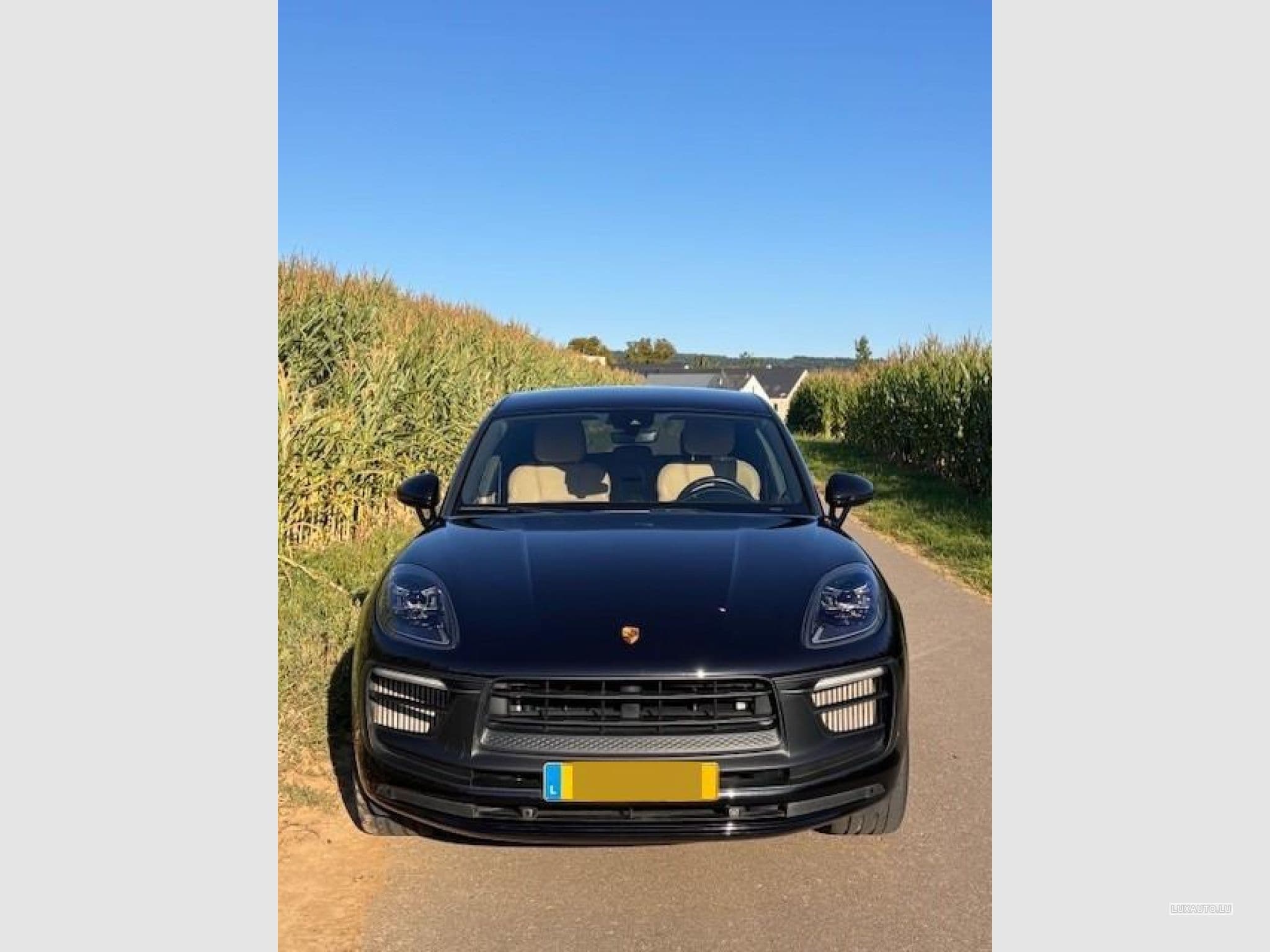 Porsche Macan GTS PDK 7 Gang (2023) - Foto 2