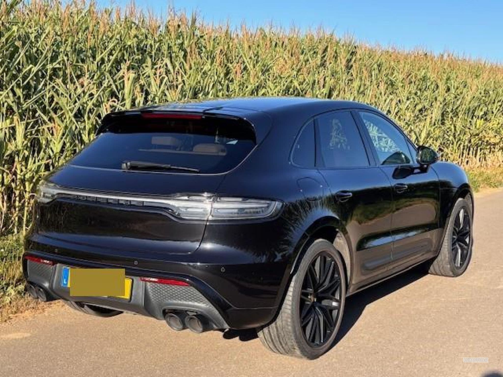 Porsche Macan GTS PDK 7 Gang (2023) - Foto 3