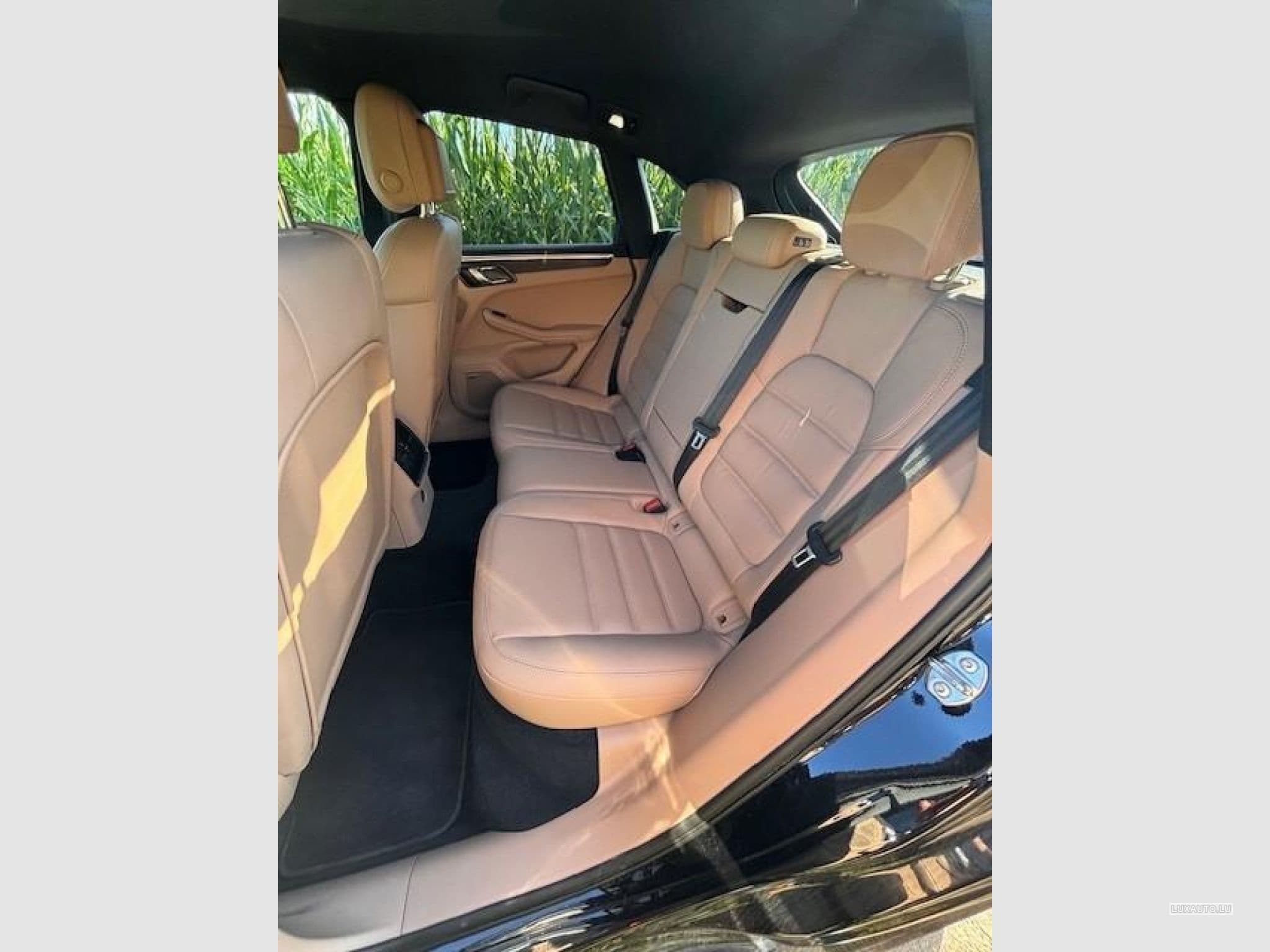 Porsche Macan GTS PDK 7 Gang (2023) - Foto 6