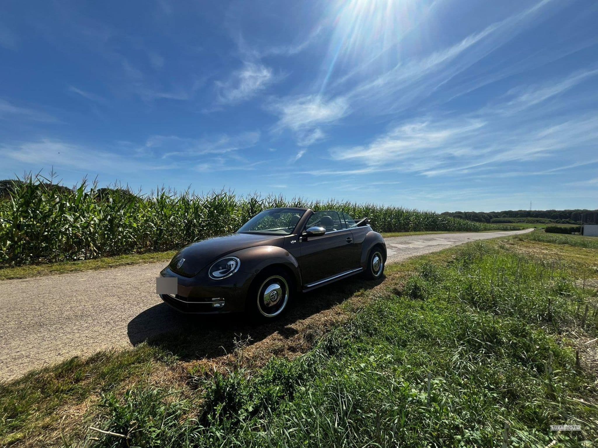 VW Beetle Fender Edition (2013) - Photo 1