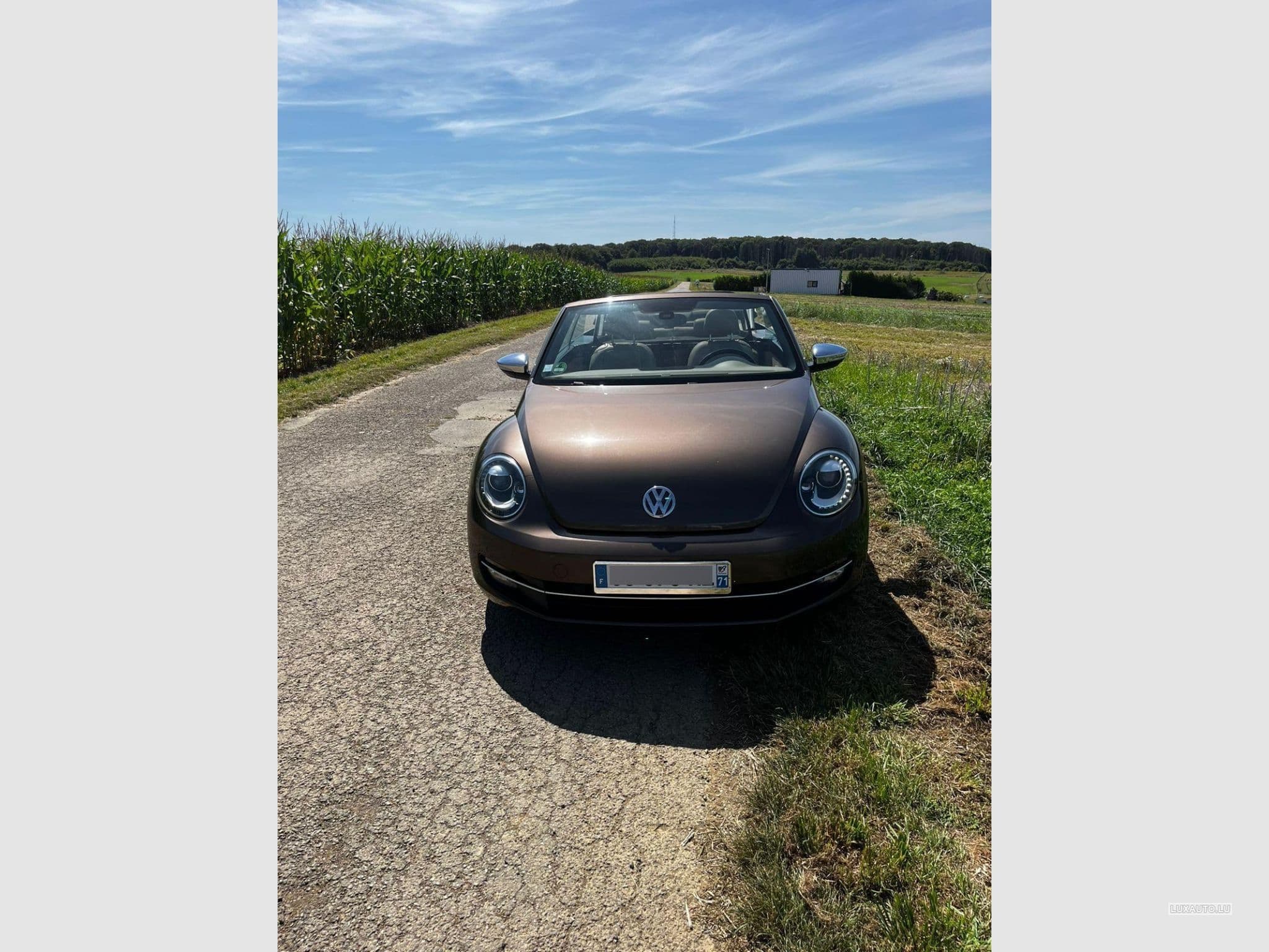 VW Beetle Fender Edition (2013) - Photo 2