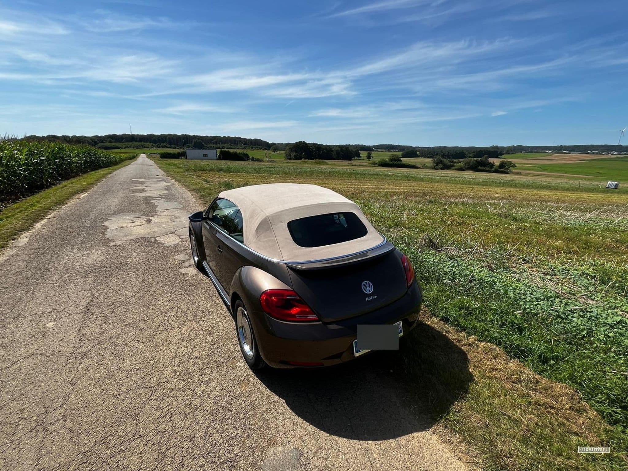 VW Beetle Fender Edition (2013) - Photo 3