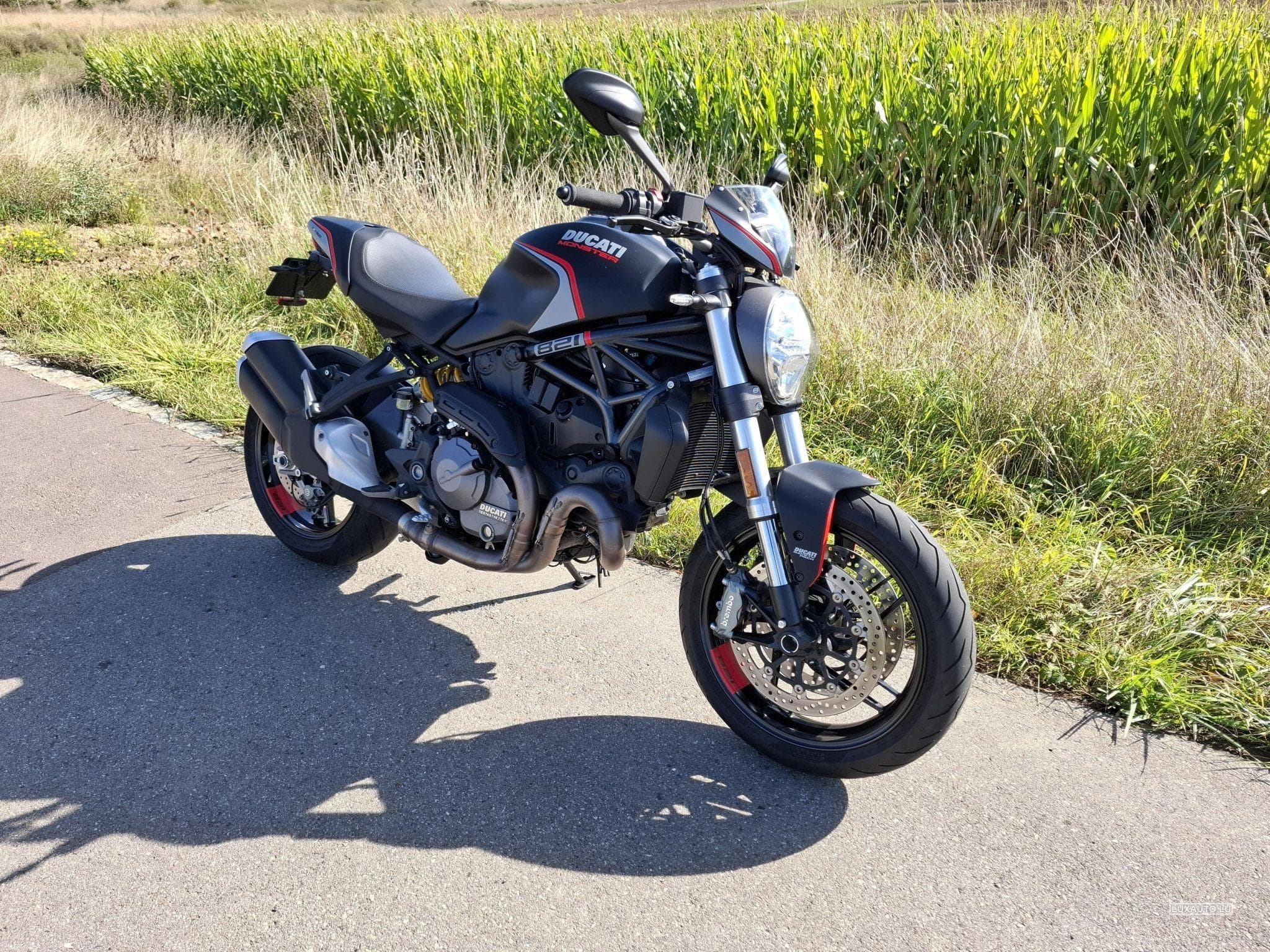 Ducati Monster Stealth Edition (2020) - Foto 1