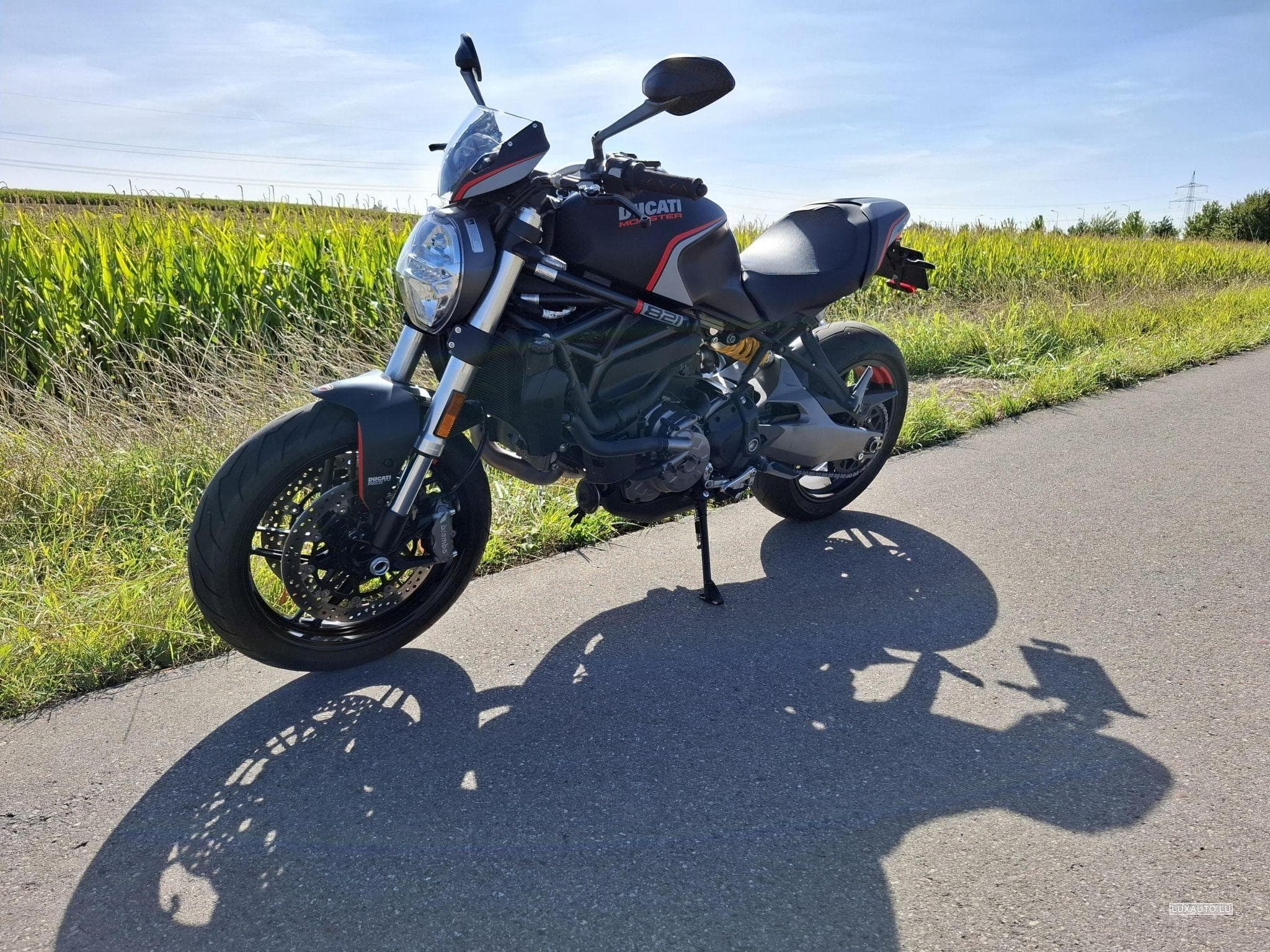 Ducati Monster Stealth Edition (2020) - Foto 3