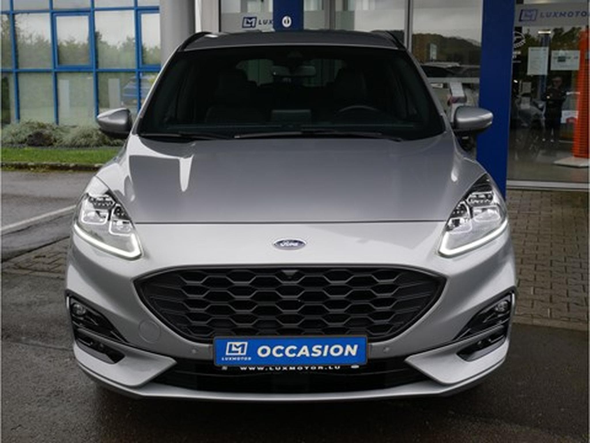 Ford Kuga ST-Line X FHEV AUT GAR 03/2027 (2022) - Foto 1