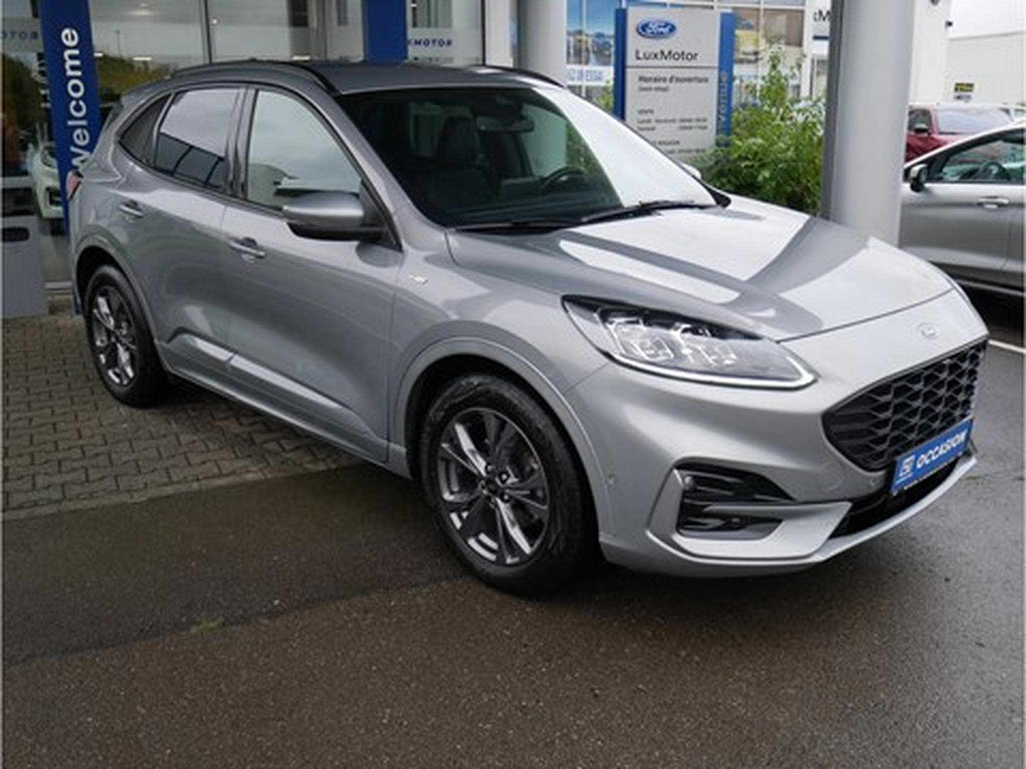 Ford Kuga ST-Line X FHEV AUT GAR 03/2027 (2022) - Foto 2