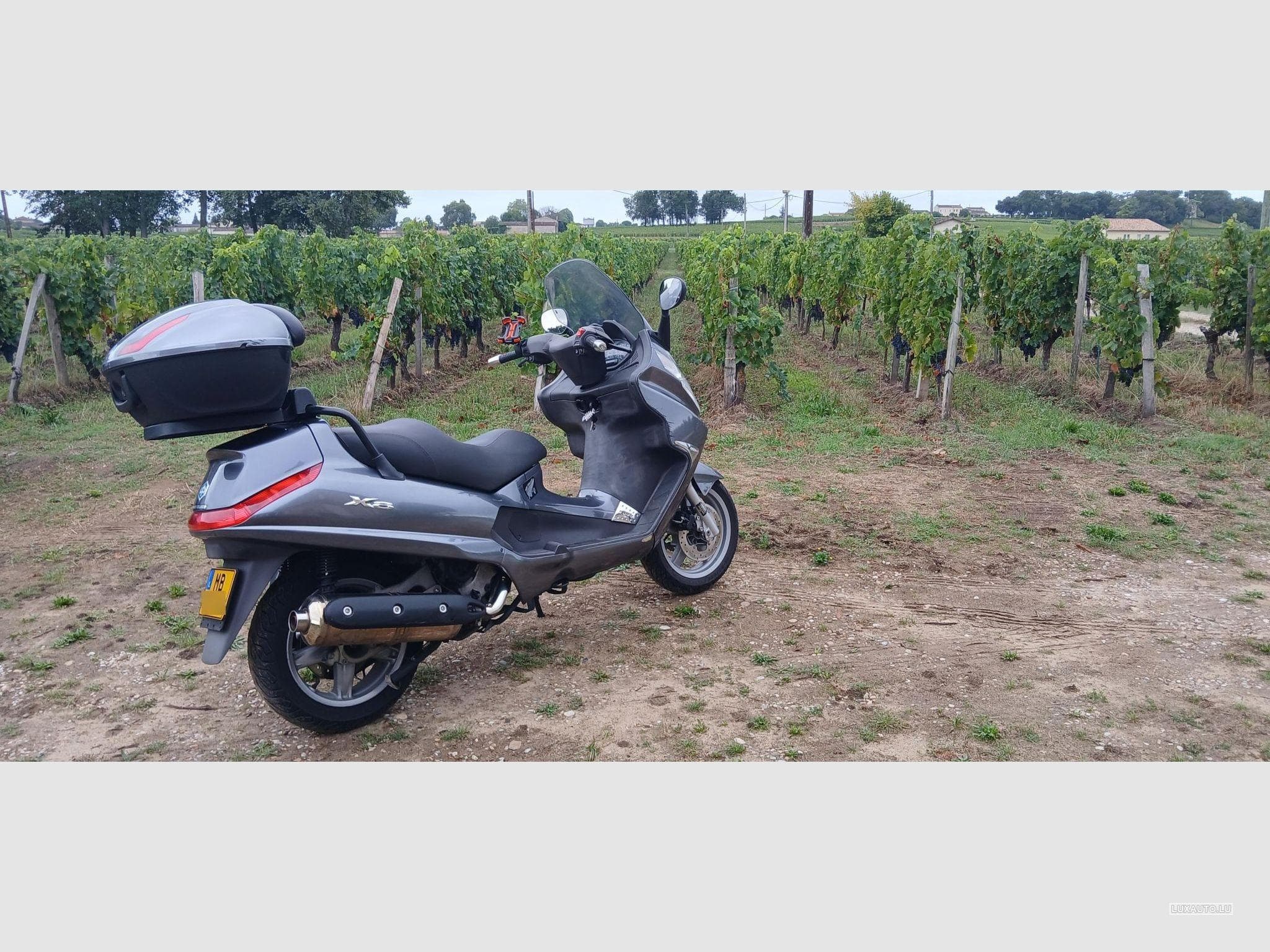 Piaggio X8 Tocase (2006) - Photo 6