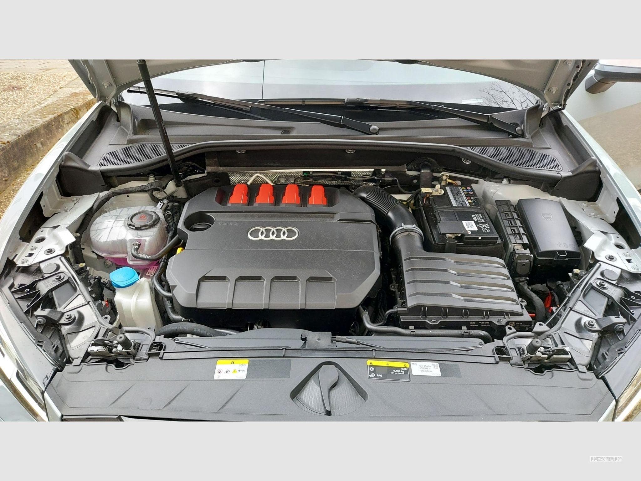 Audi SQ2 Audi SQ2 (2023) - Photo 4