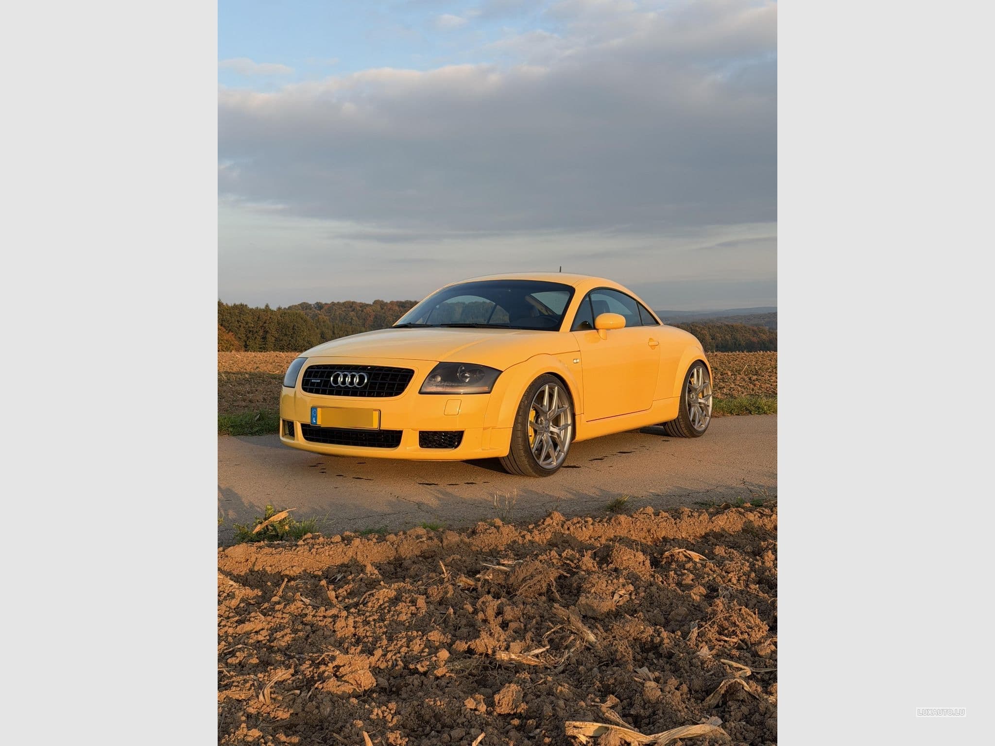 Audi TT Quattro (2003) - Foto 1