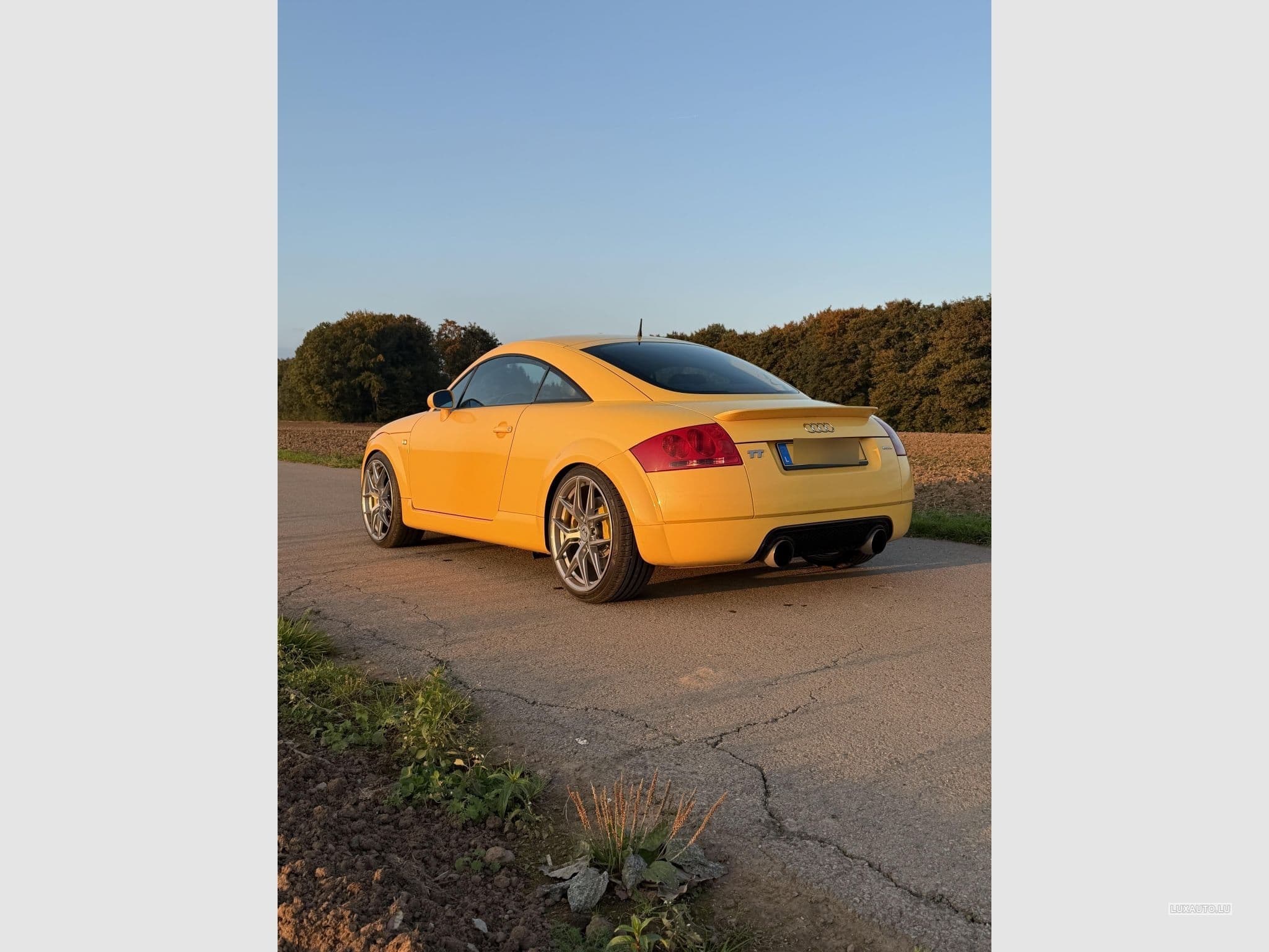 Audi TT Quattro (2003) - Foto 3