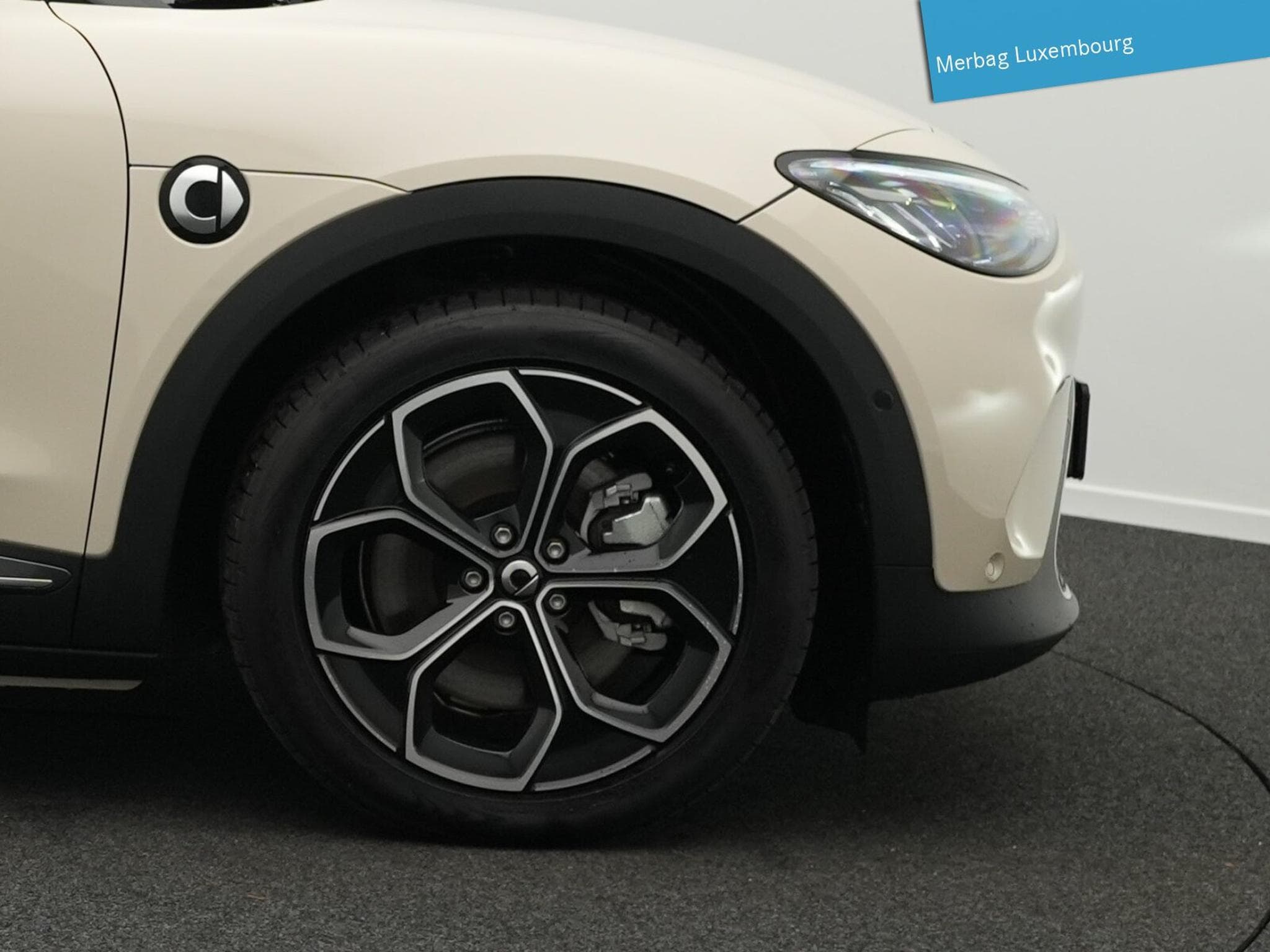 Smart #3 (HC11) PULSE (+3.000 Euro Klimabonus Luxembourg) (2024) - Photo 6