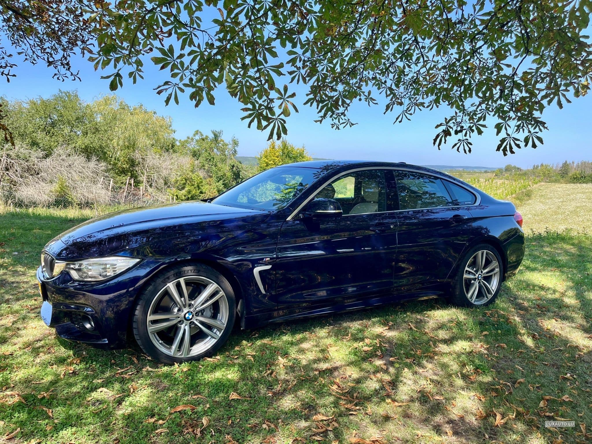 BMW 440 GranCoupe - M Performance (2016) - Foto 8