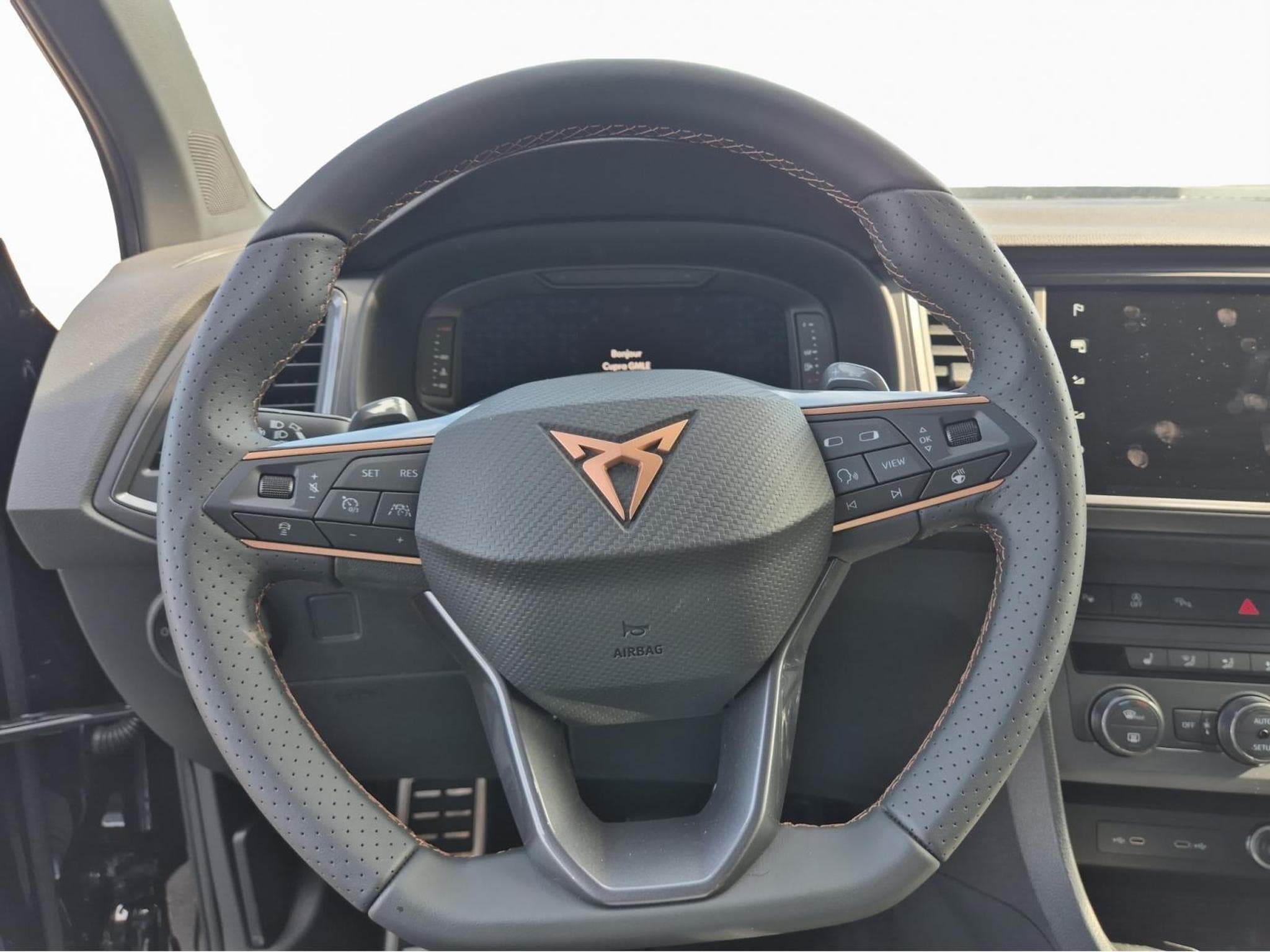 Cupra Ateca 2.0 TSI 4Drive DSG (2025) - Photo 9