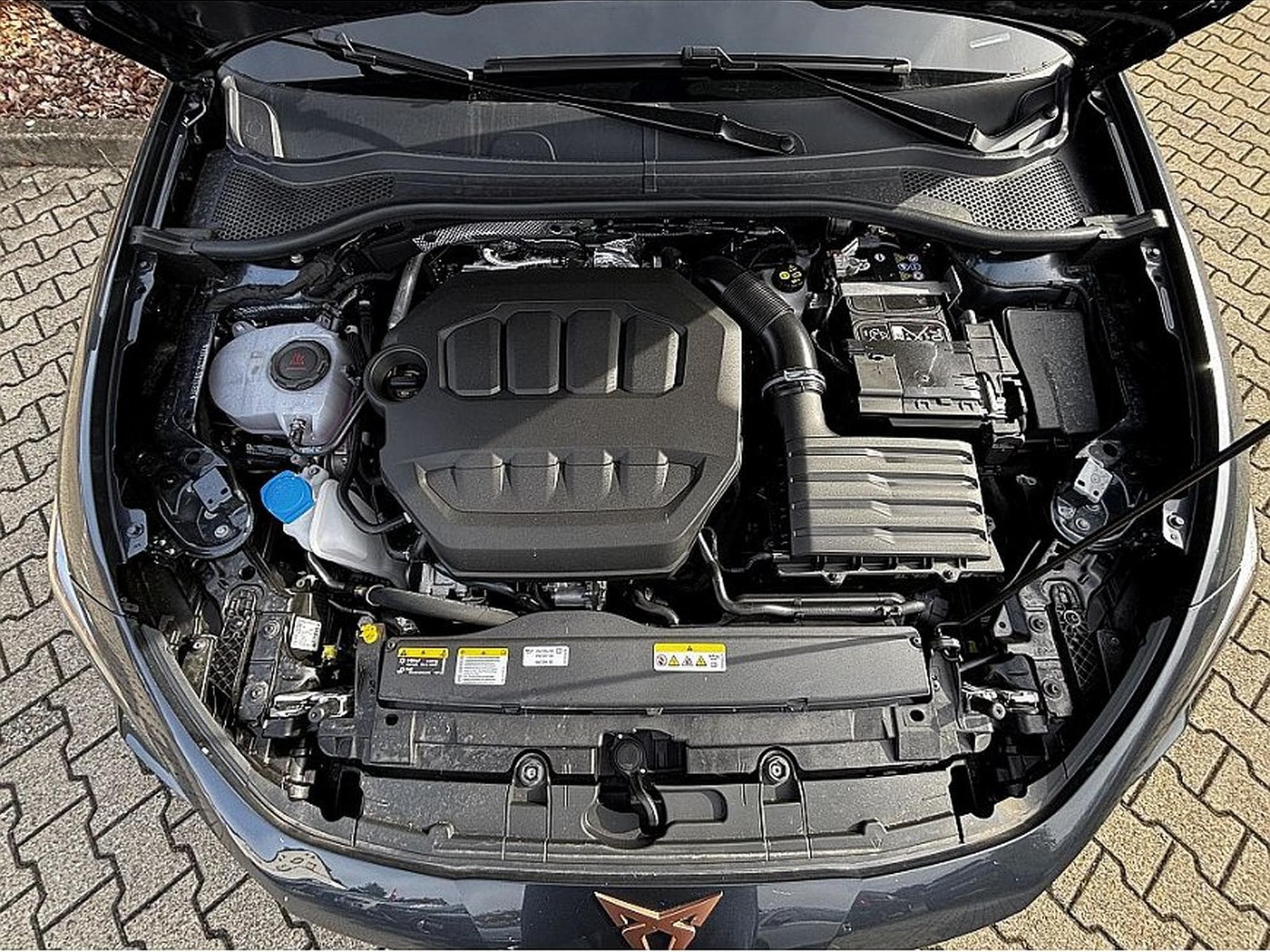 Cupra Leon (2025) - Foto 8