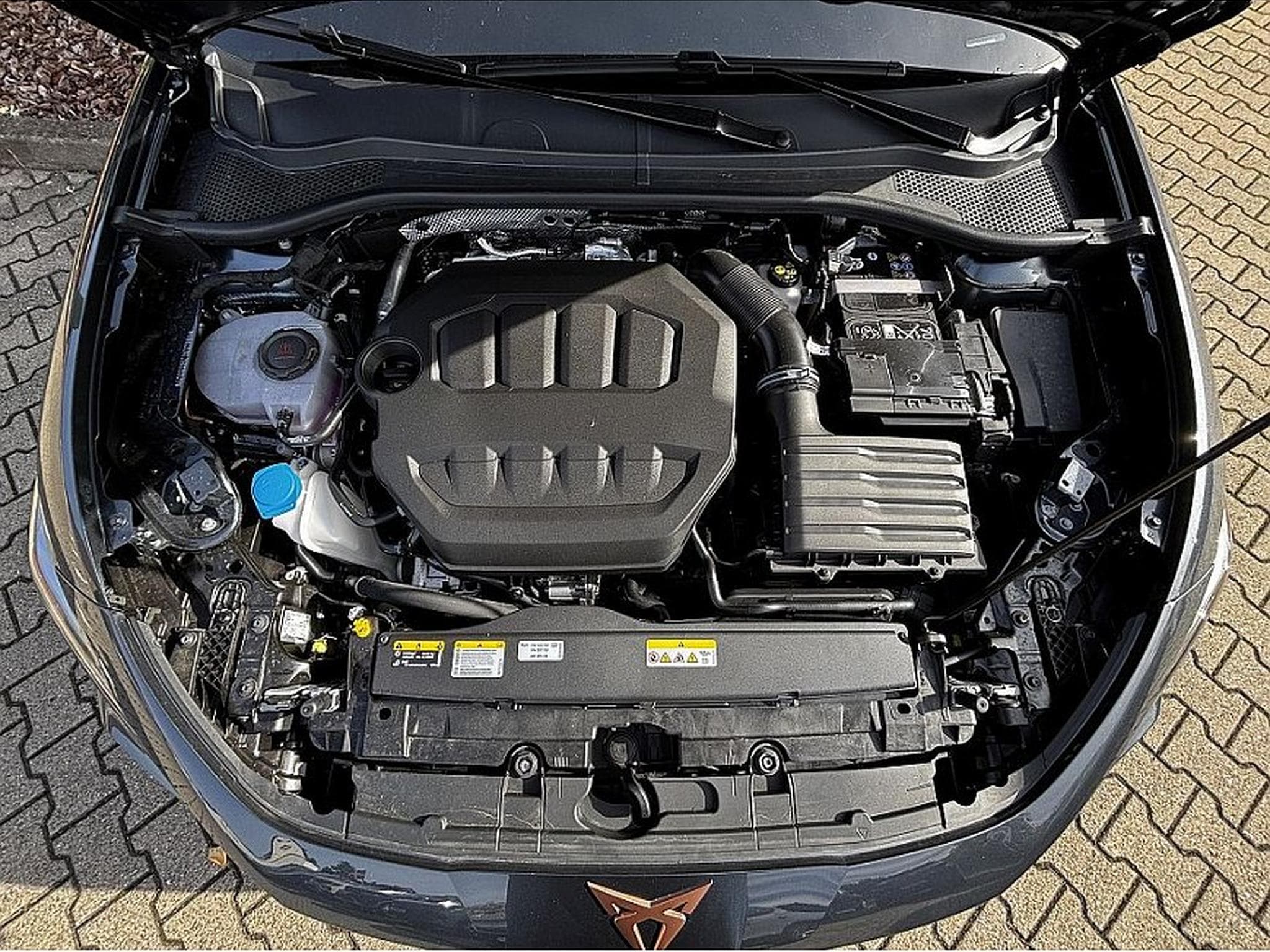 Cupra Leon (2025) - Foto 8