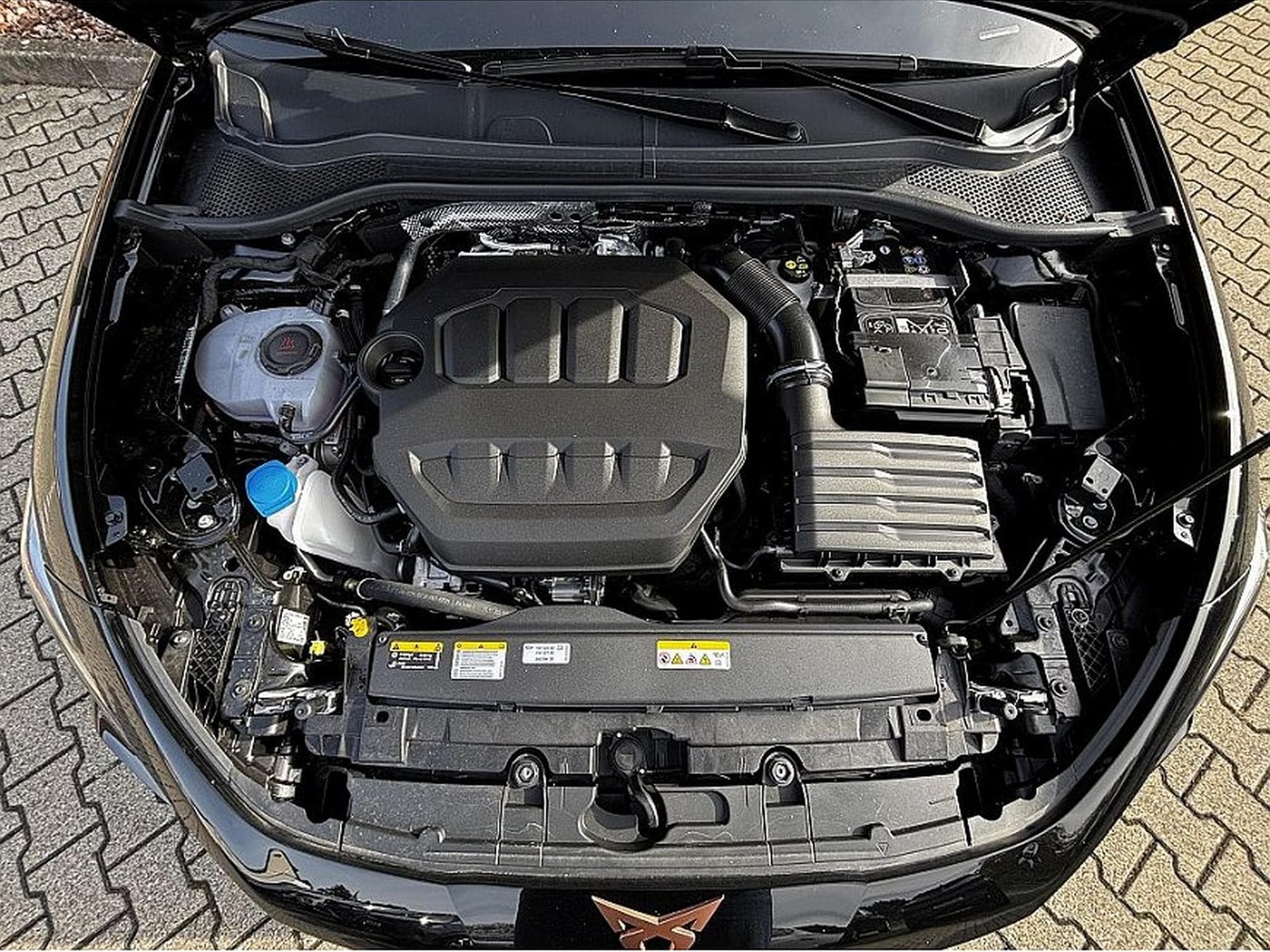 Cupra Leon (2025) - Foto 8