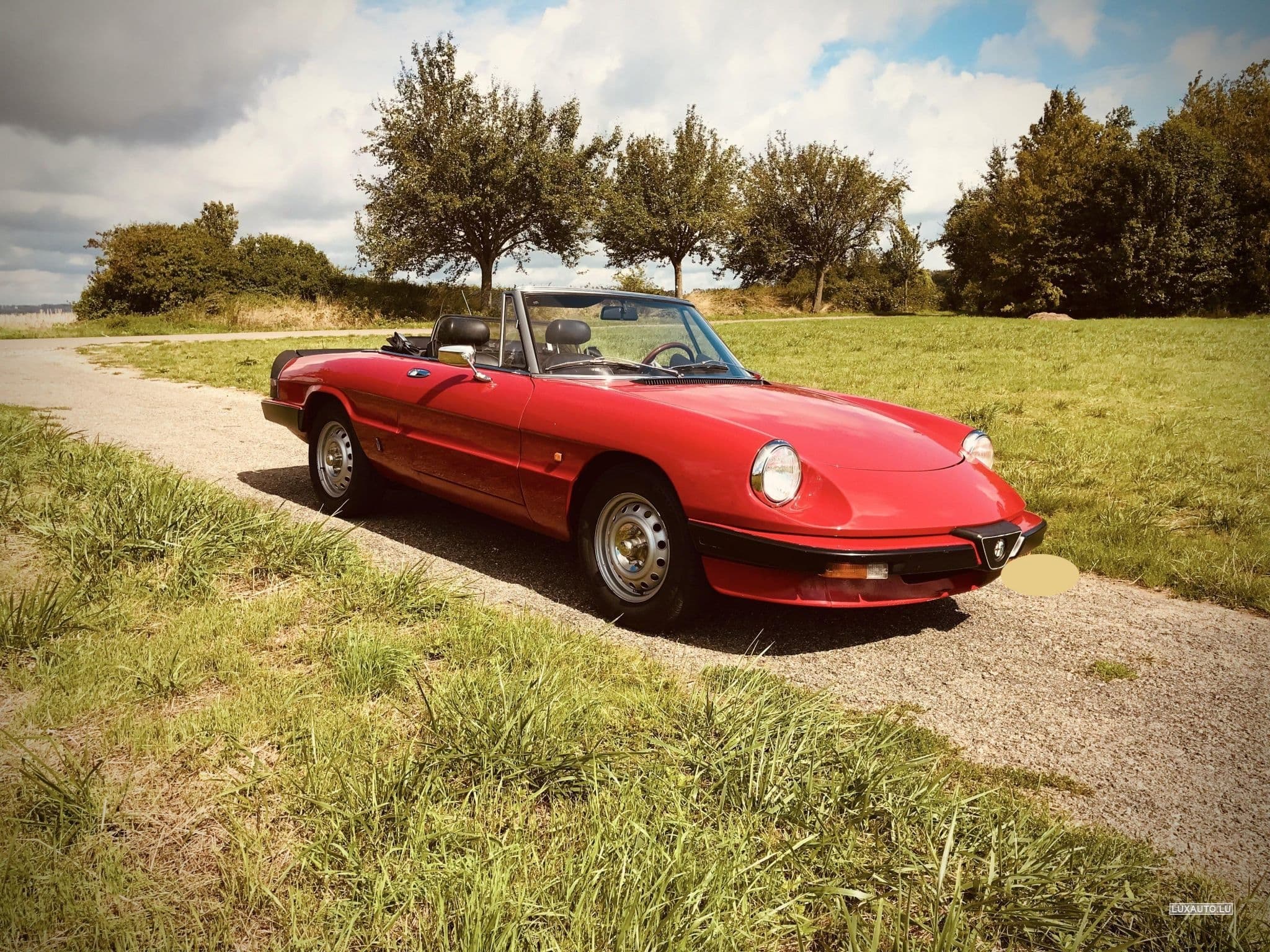 Alfa-Romeo Spider (1984) - Photo 1