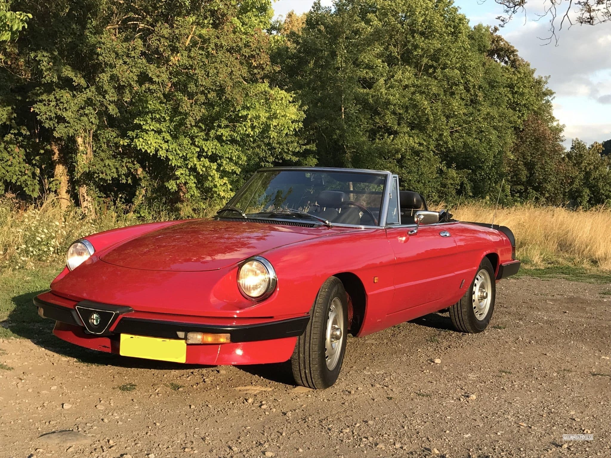 Alfa-Romeo Spider (1984) - Photo 10