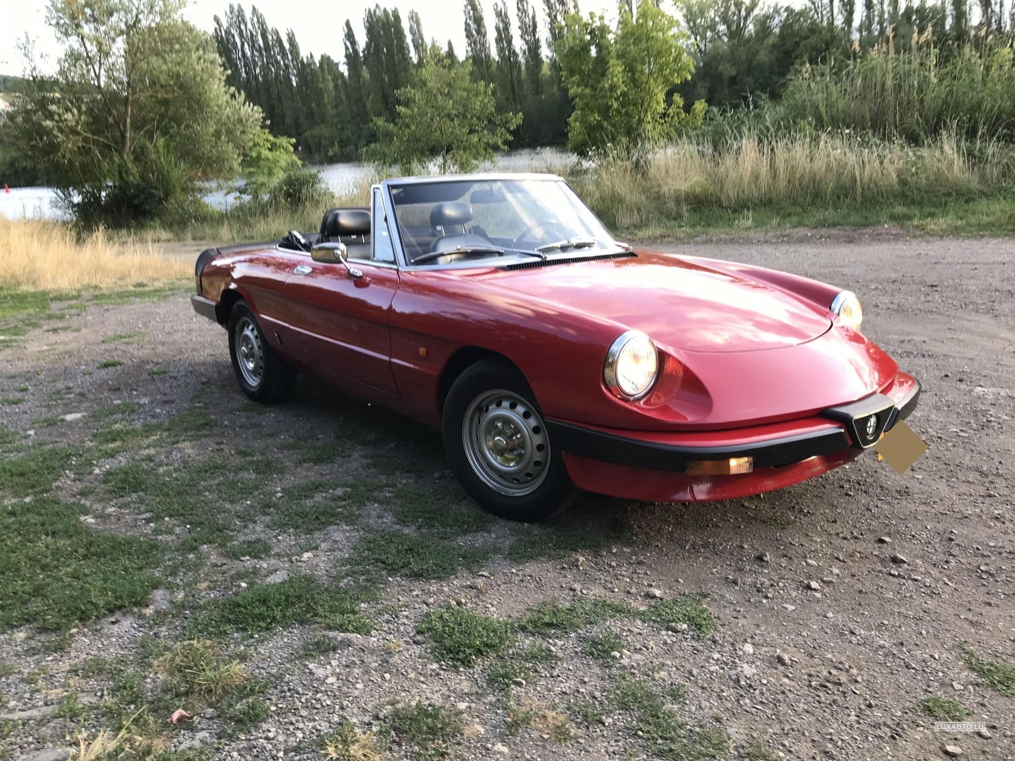 Alfa-Romeo Spider (1984) - Photo 8