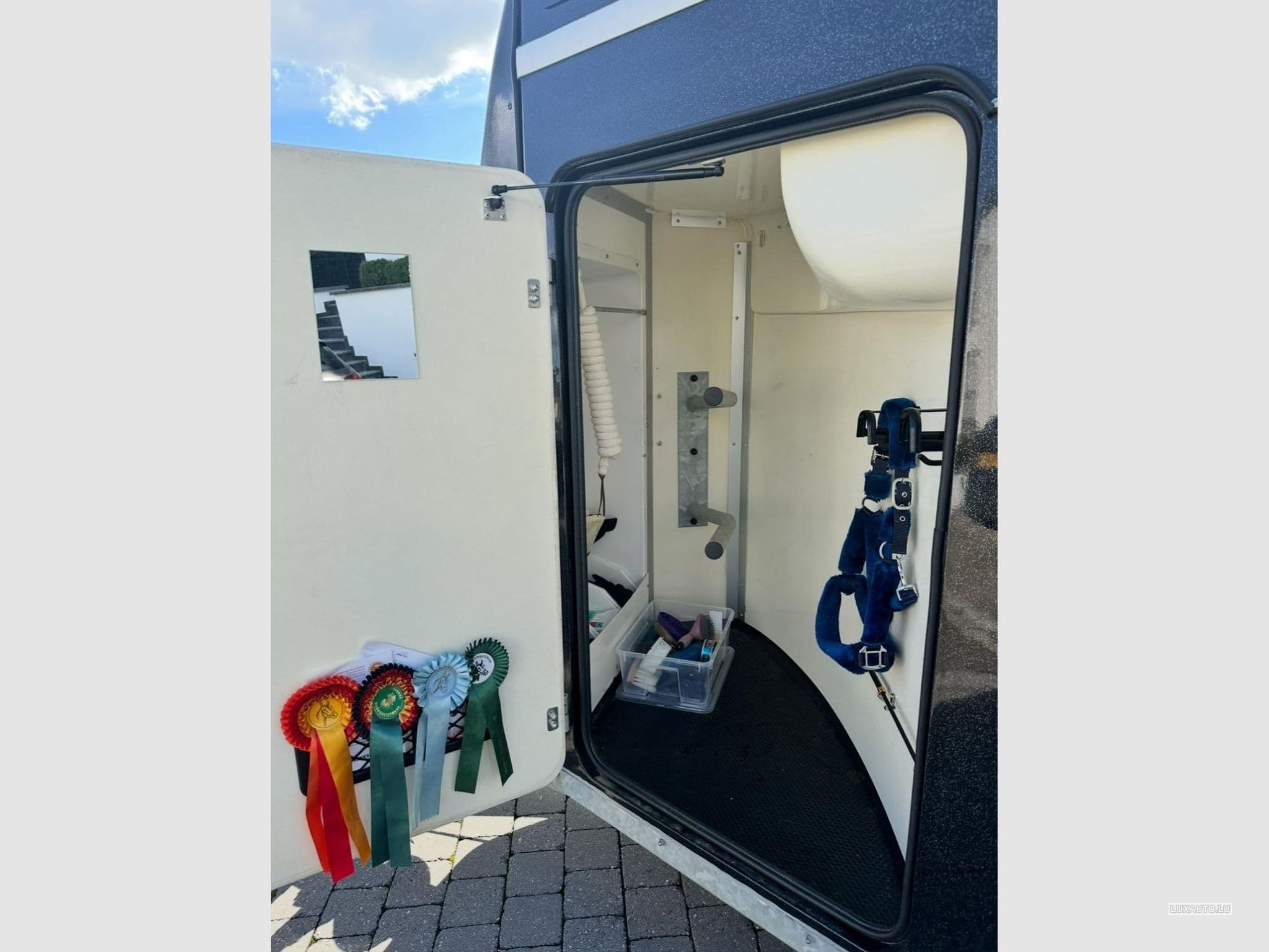 Remorque Animaux Humbaur Zephir (2015) - Foto 5