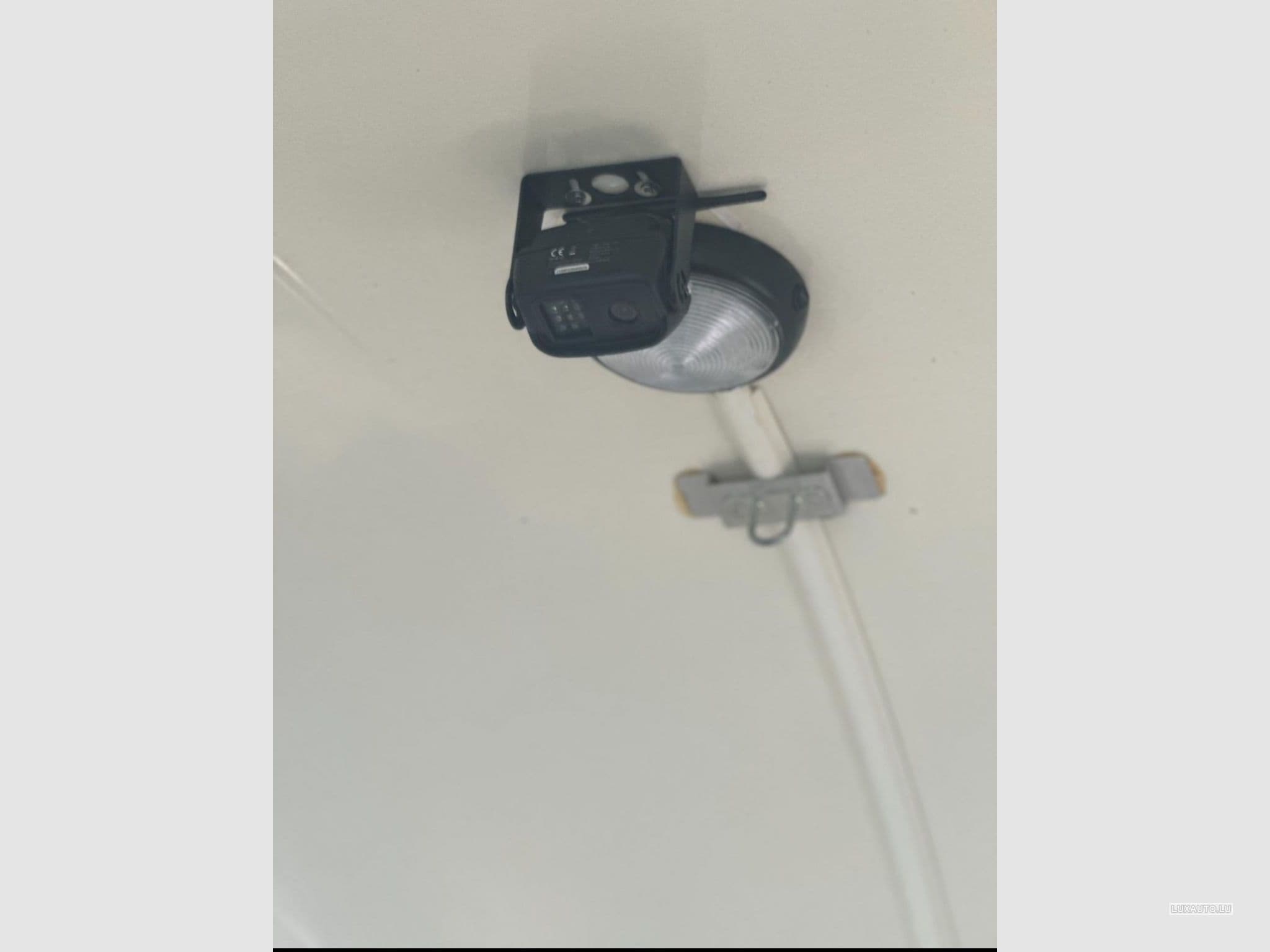 Remorque Animaux Humbaur Zephir (2015) - Foto 6