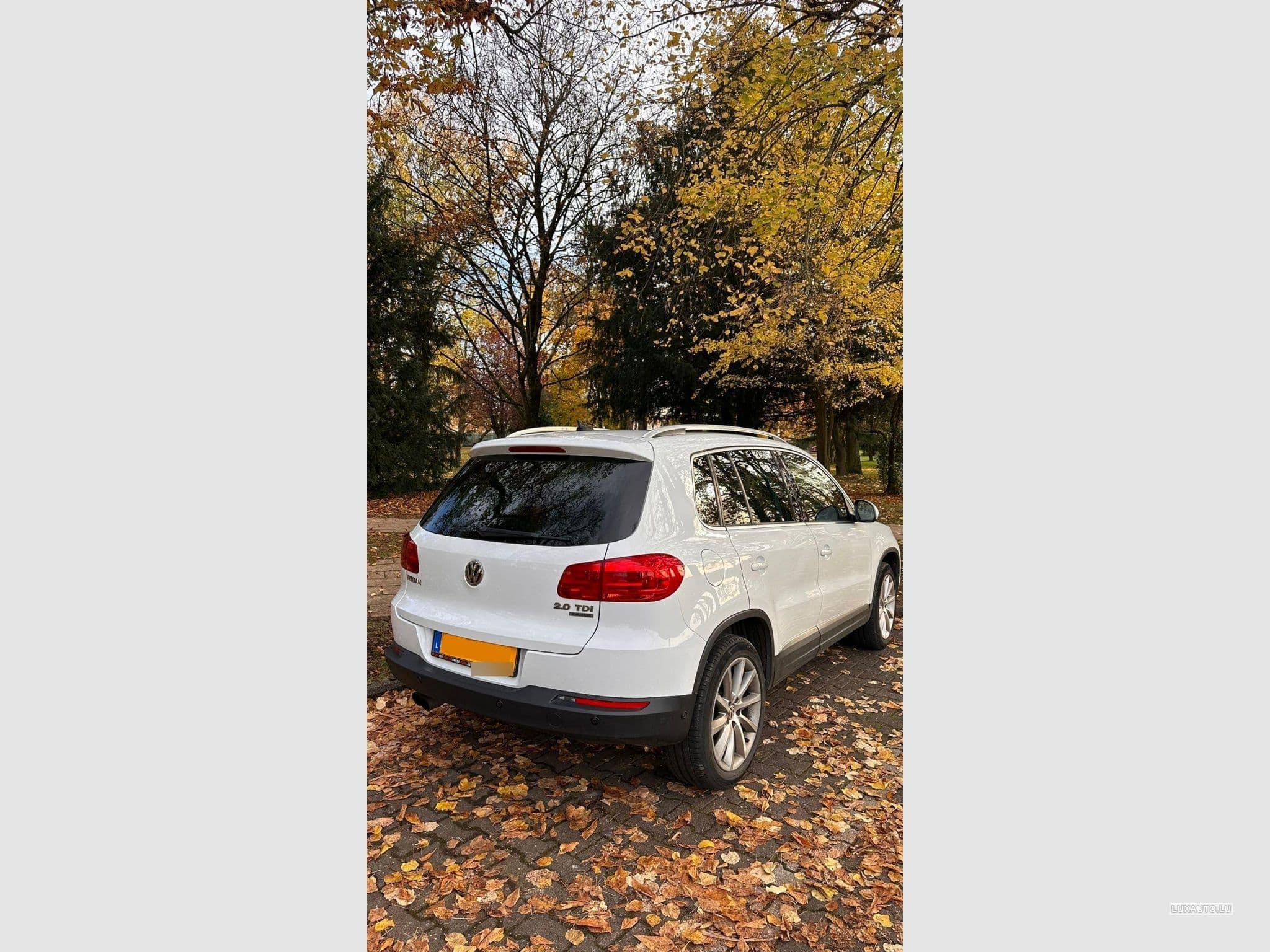 VW Tiguan Sport & Style 4Motion (2014) - Photo 4