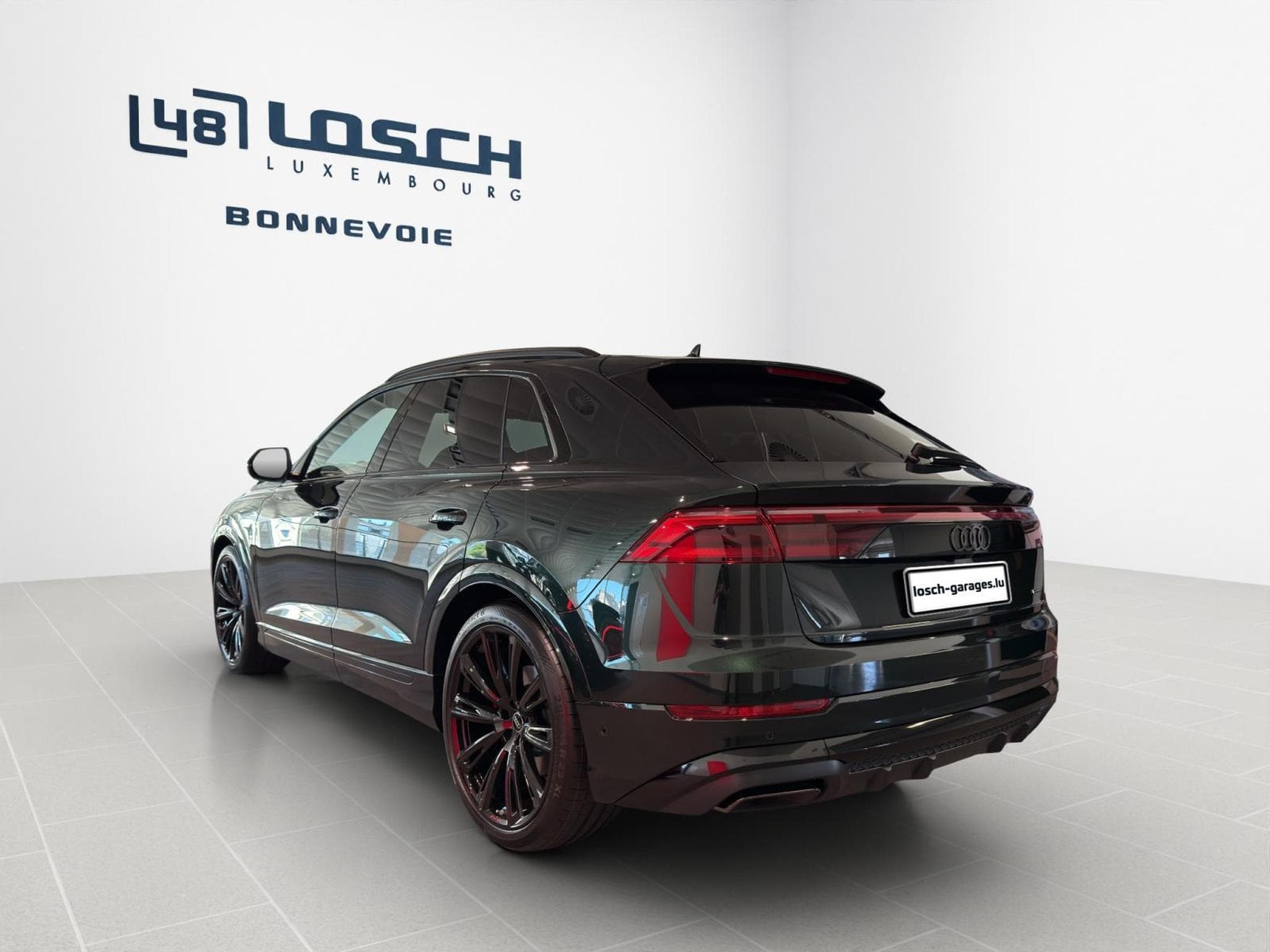 Audi Q8 SUV quattro Exclusive color (2025) - Foto 5