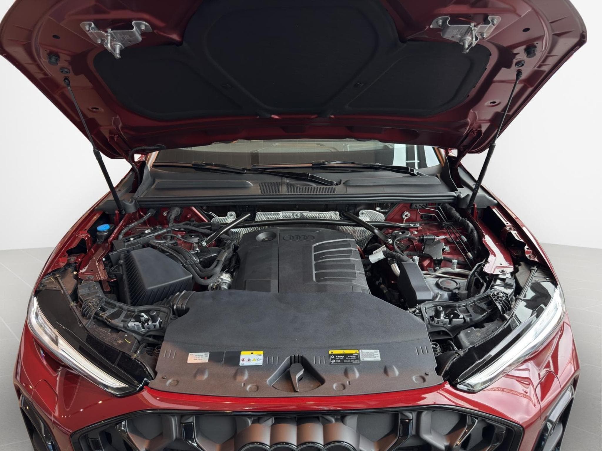 Audi Q5 SUV quattro (2025) - Foto 5