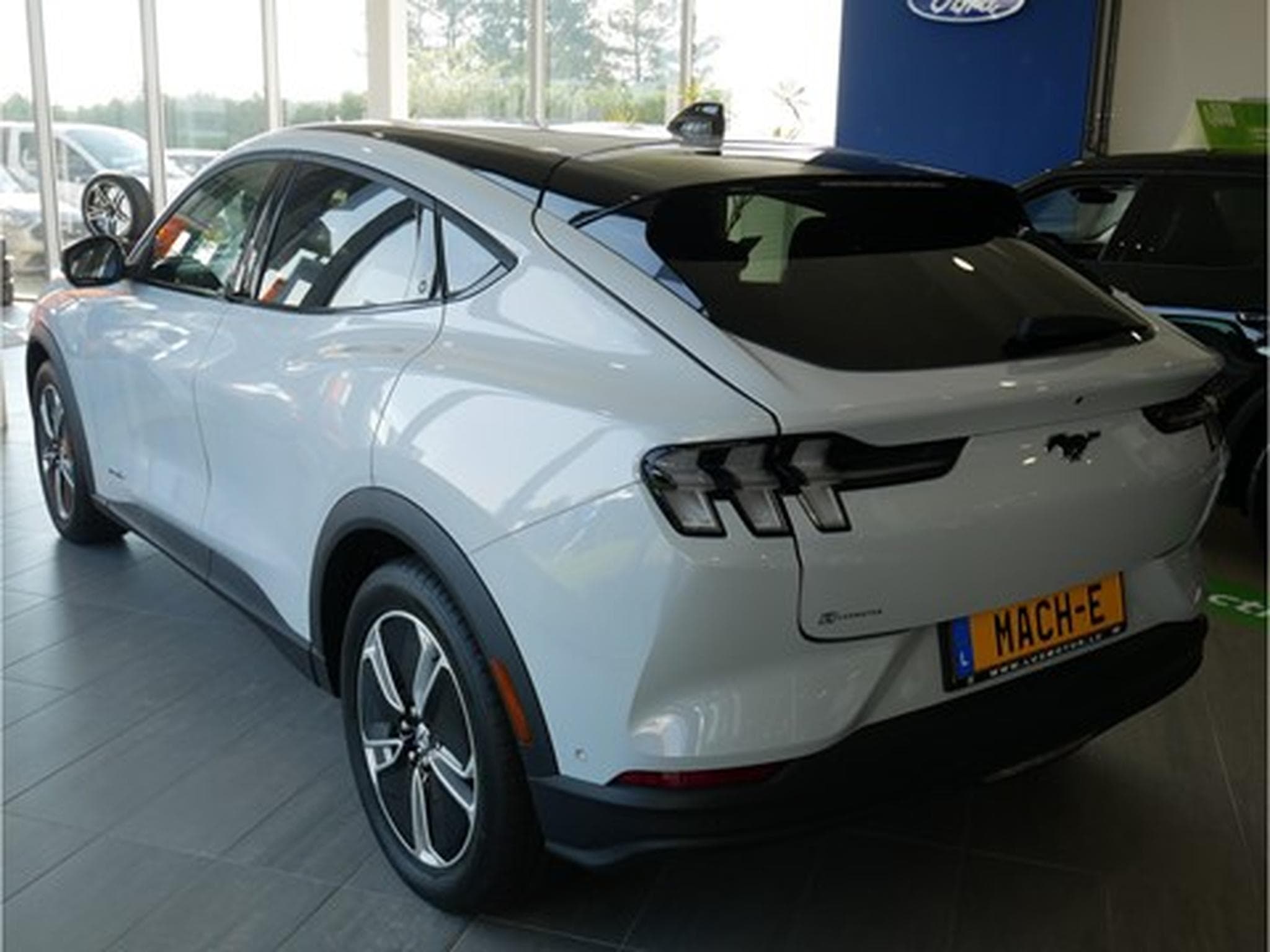 Ford Mustang Mach-E Base 72kWh Standard Range LFP 269ch/198kW - A1 (2025) - Foto 3