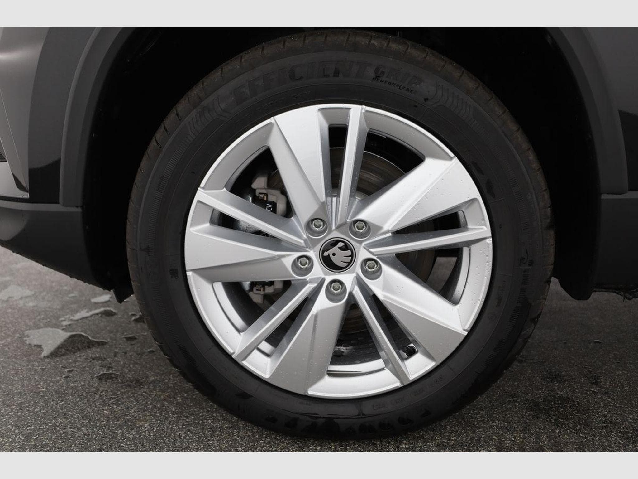 Skoda Karoq 1.5 TSI DSG (2025) - Photo 16