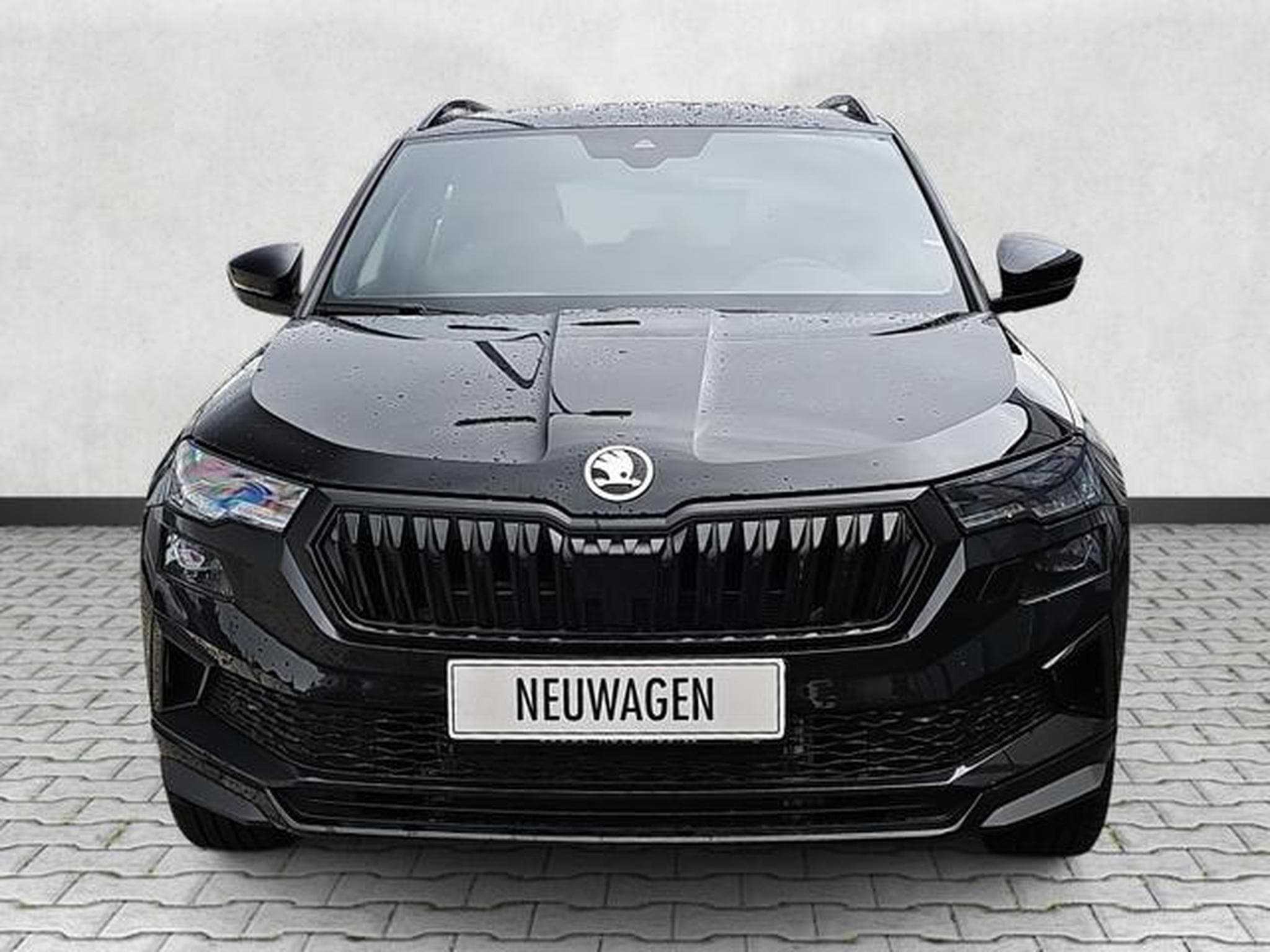 Skoda Karoq Sportline 4x4 (2025) - Photo 1