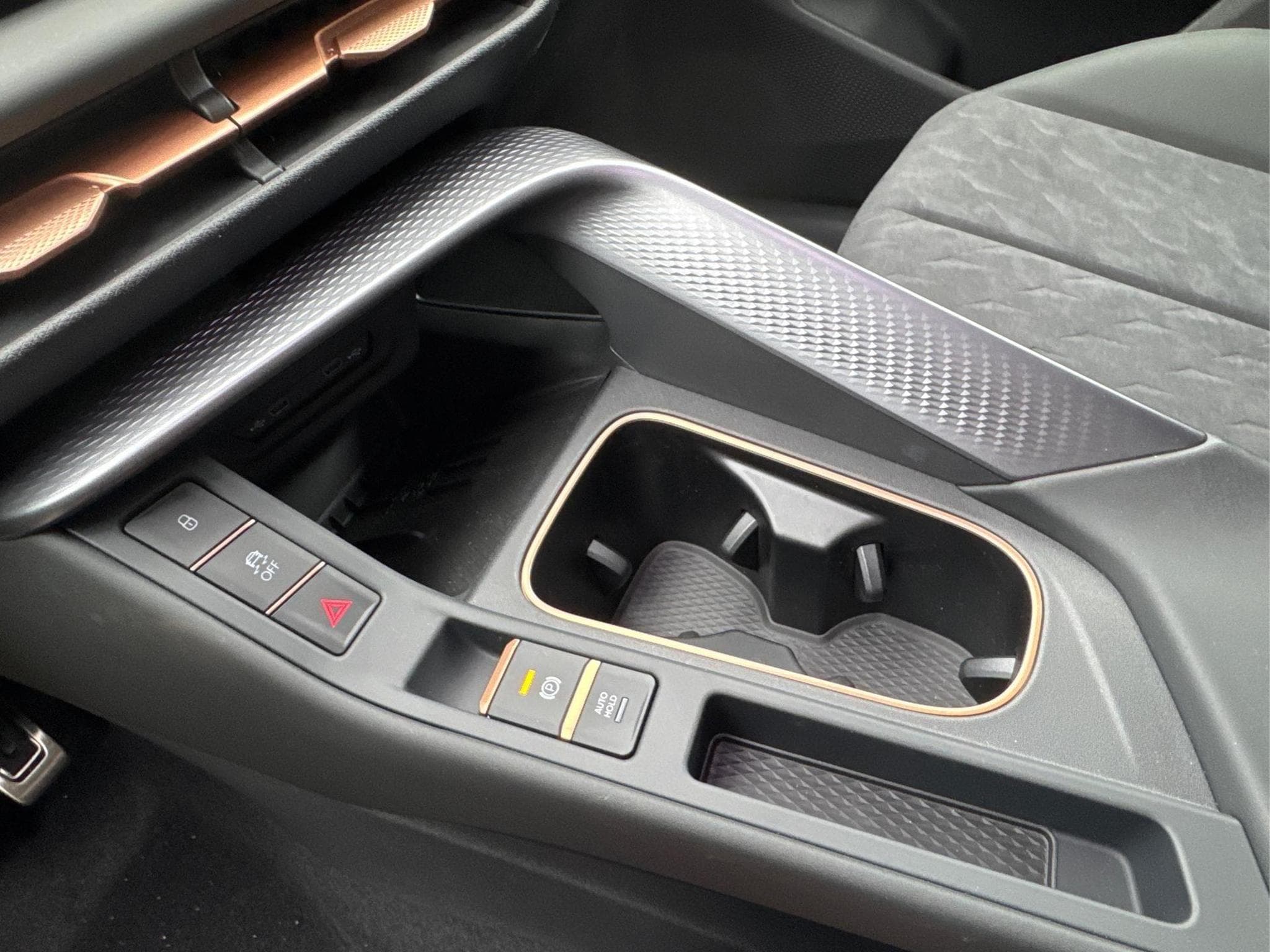 Cupra Terramar VZ (2025) - Photo 12