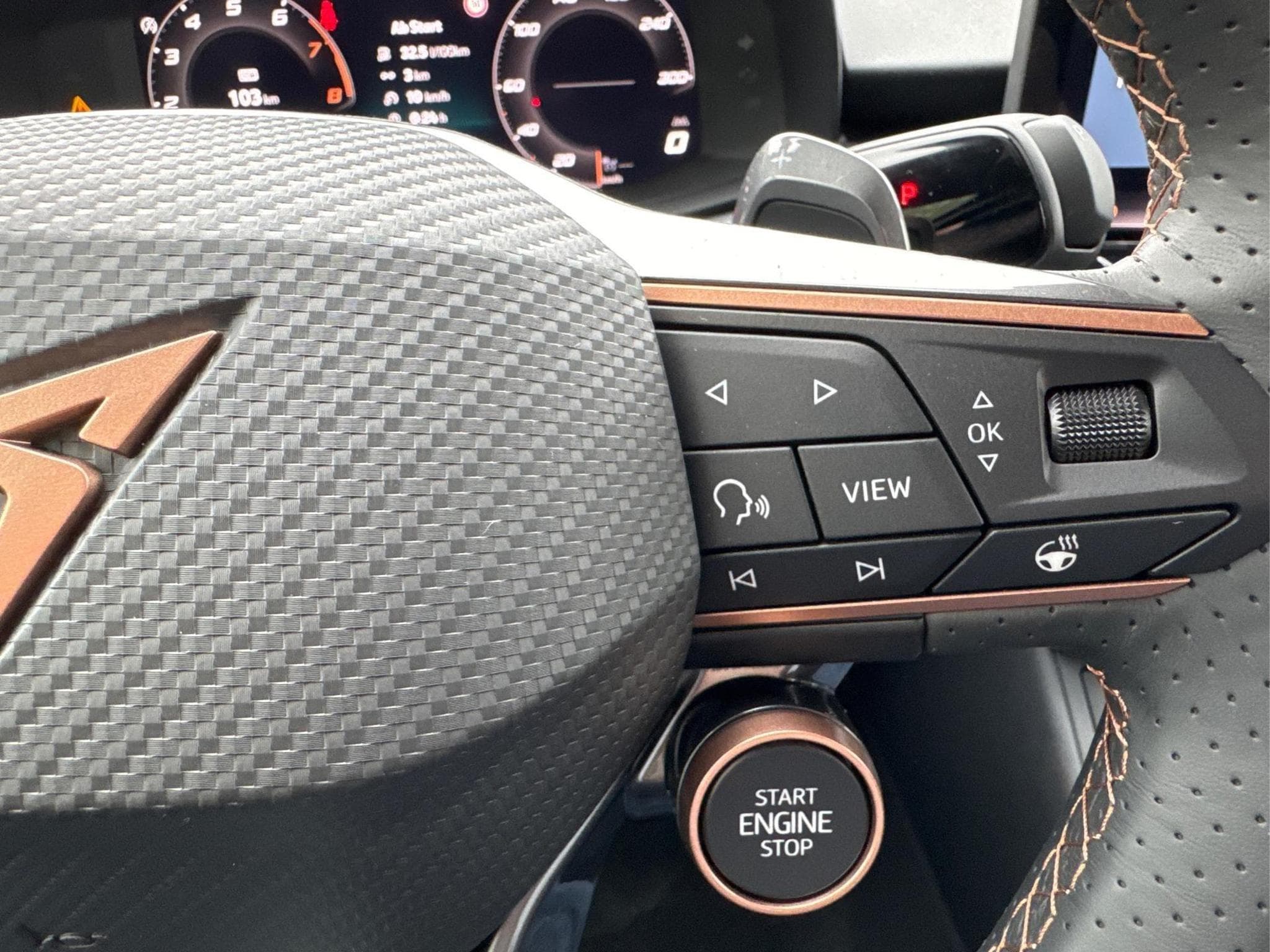 Cupra Terramar VZ (2025) - Foto 19