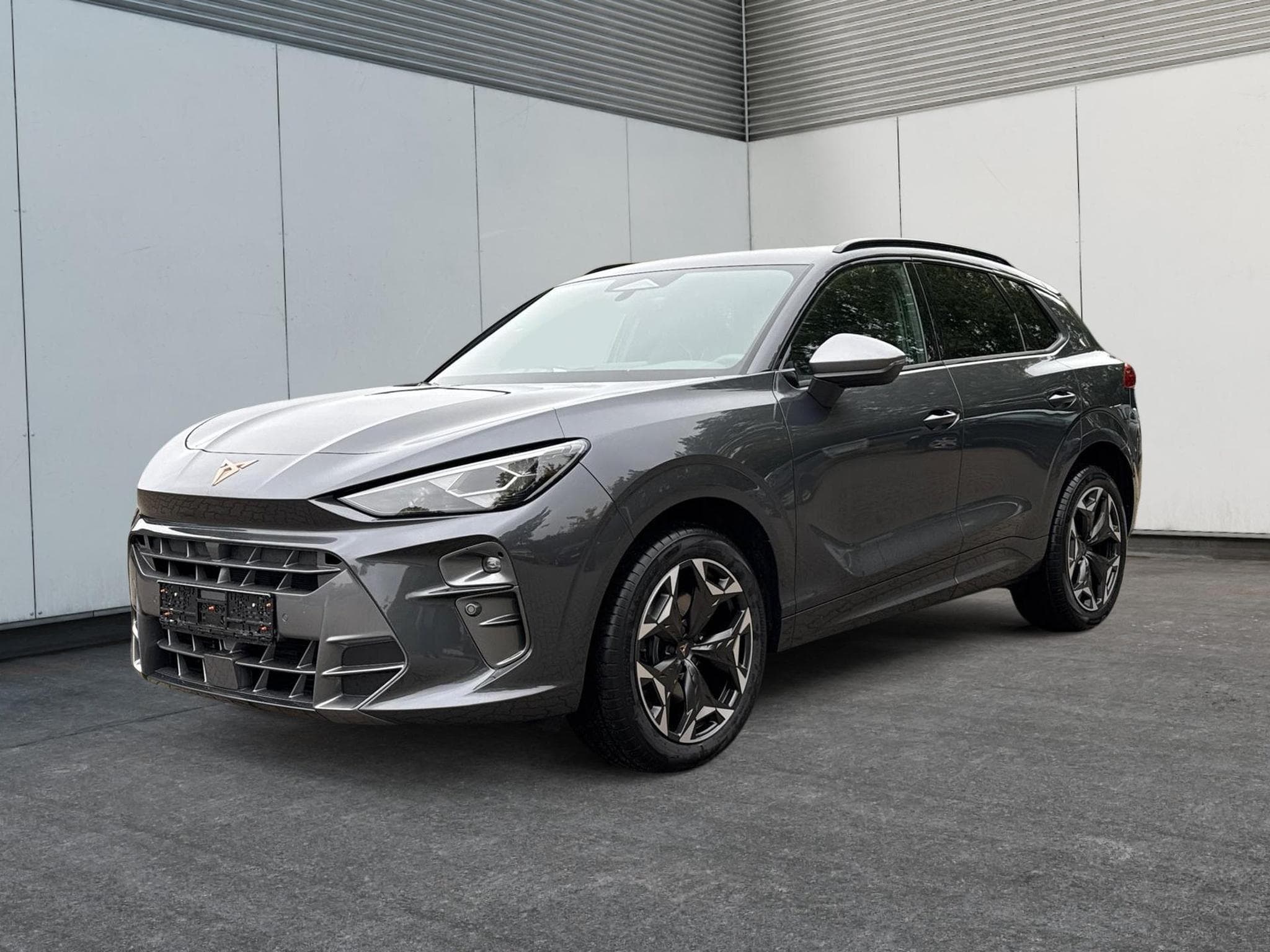 Cupra Terramar VZ (2025) - Photo 1