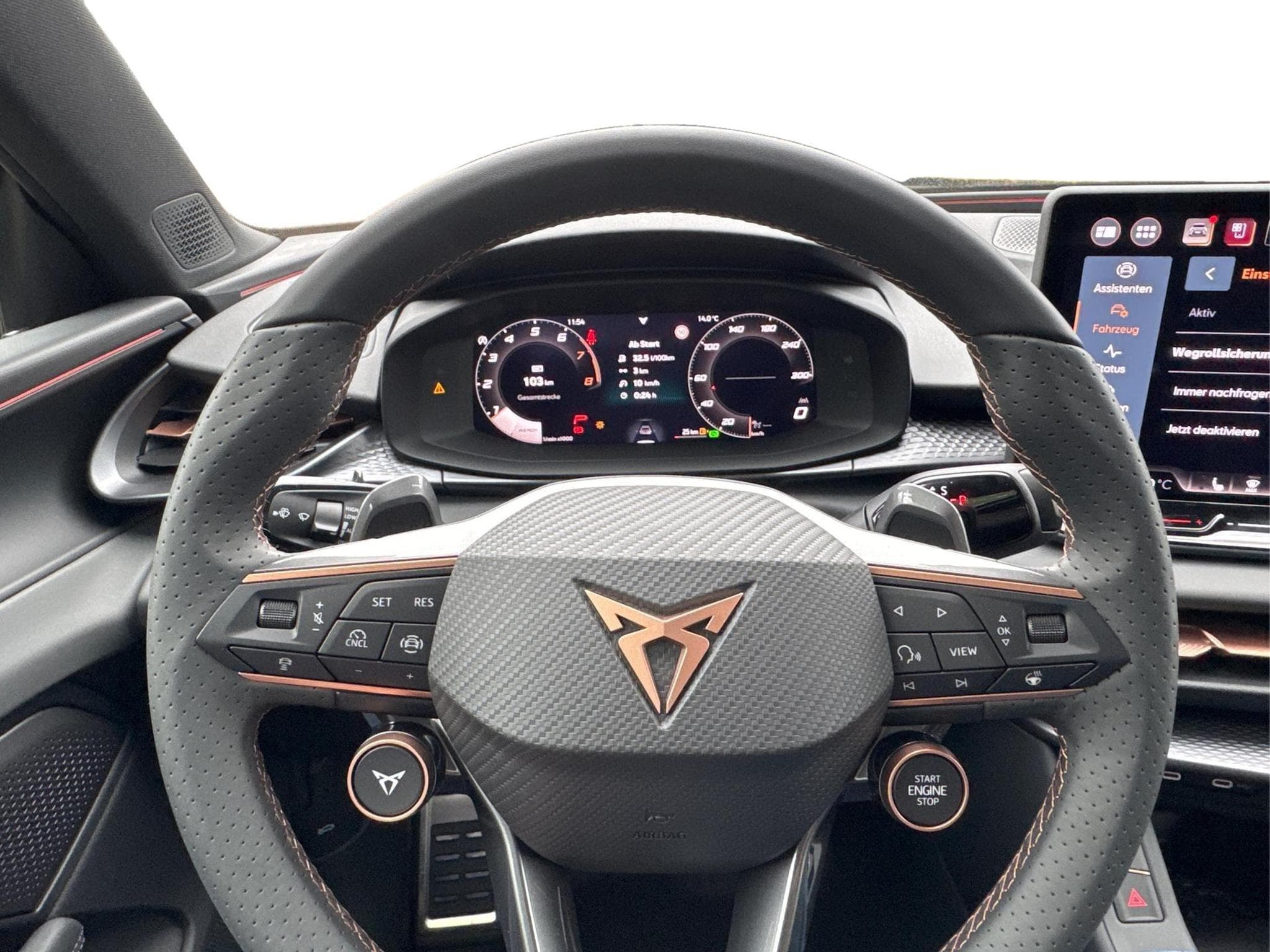 Cupra Terramar VZ (2025) - Foto 6