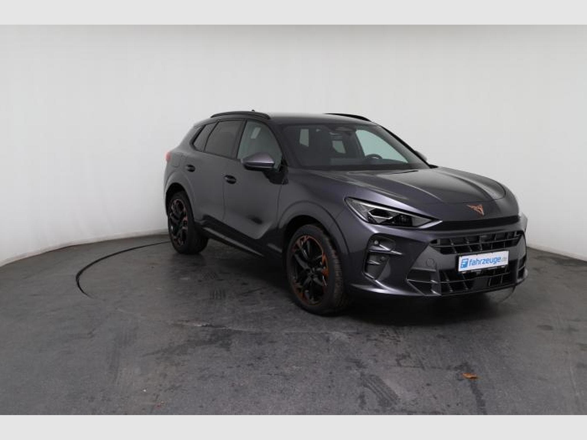 Cupra Terramar VZ (2025) - Photo 10