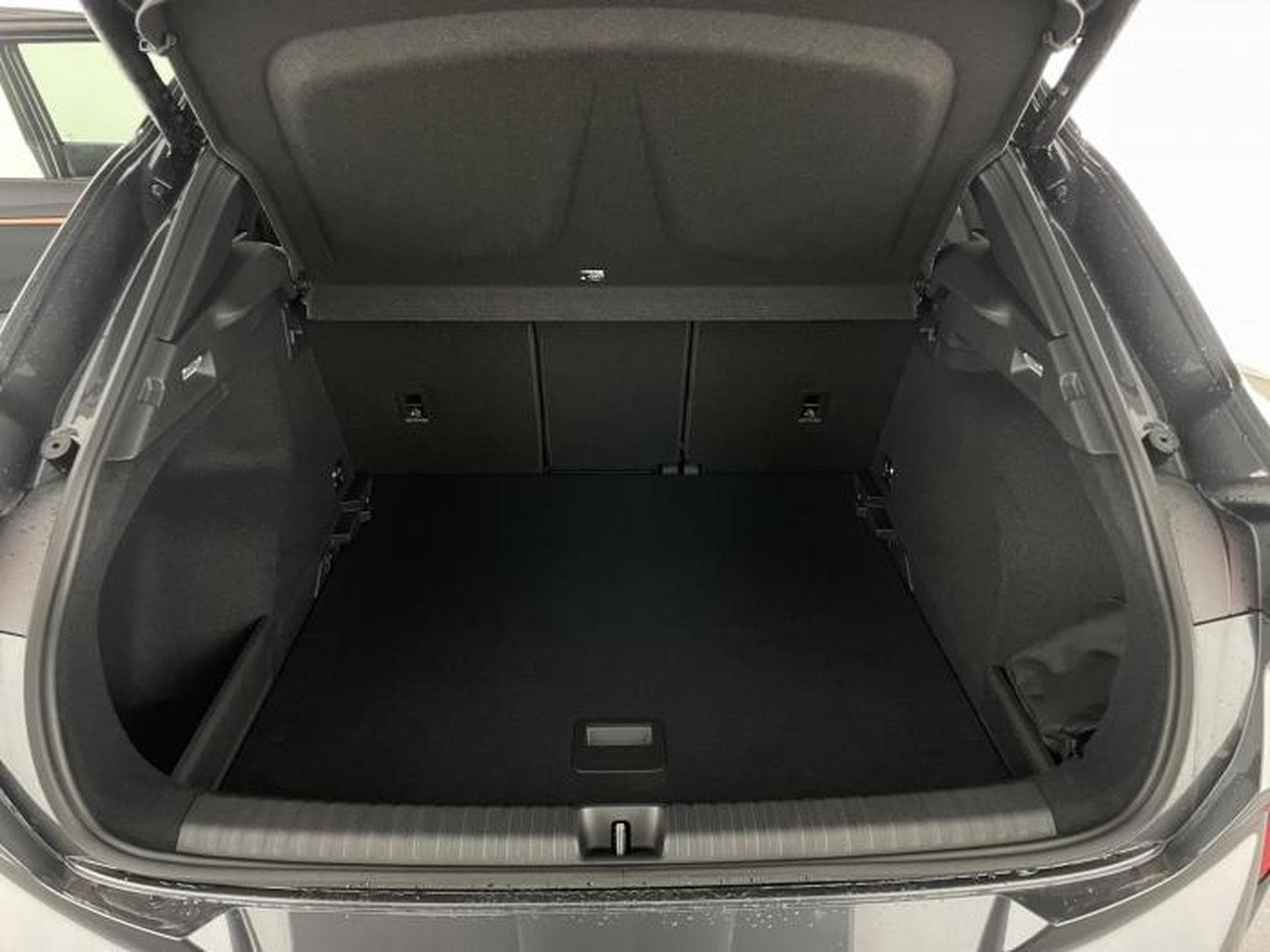 Cupra Terramar VZ (2025) - Photo 14