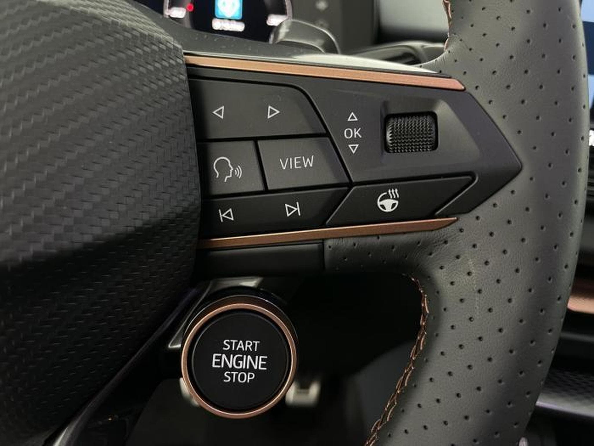 Cupra Terramar VZ (2025) - Photo 21