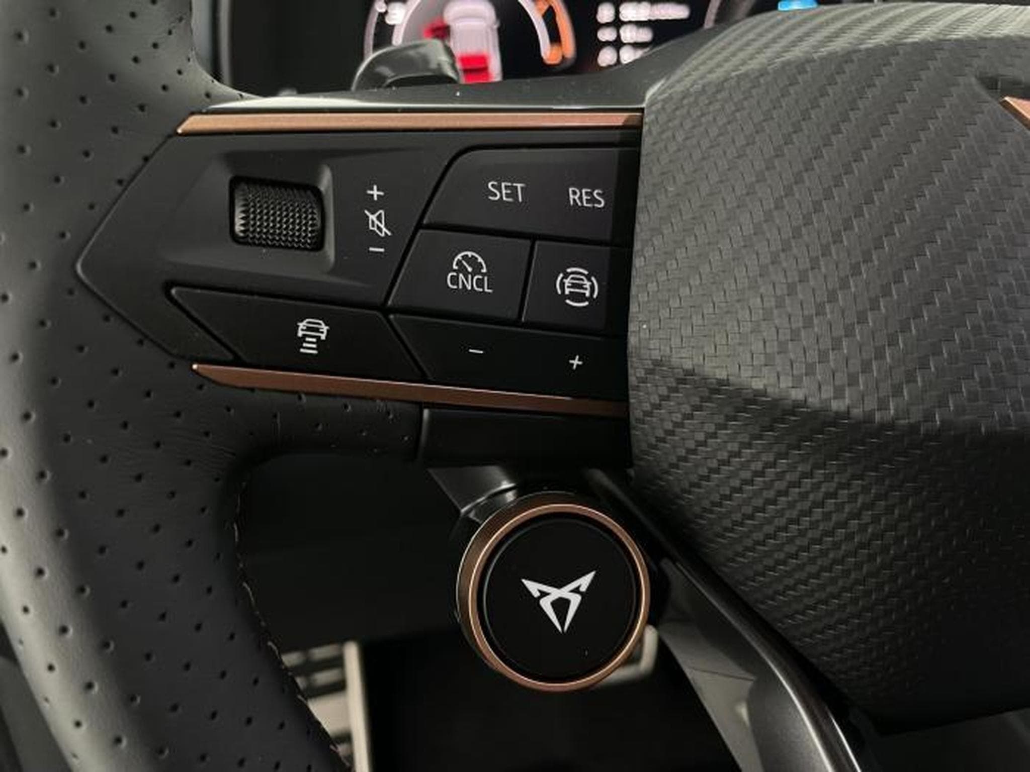 Cupra Terramar VZ (2025) - Photo 22