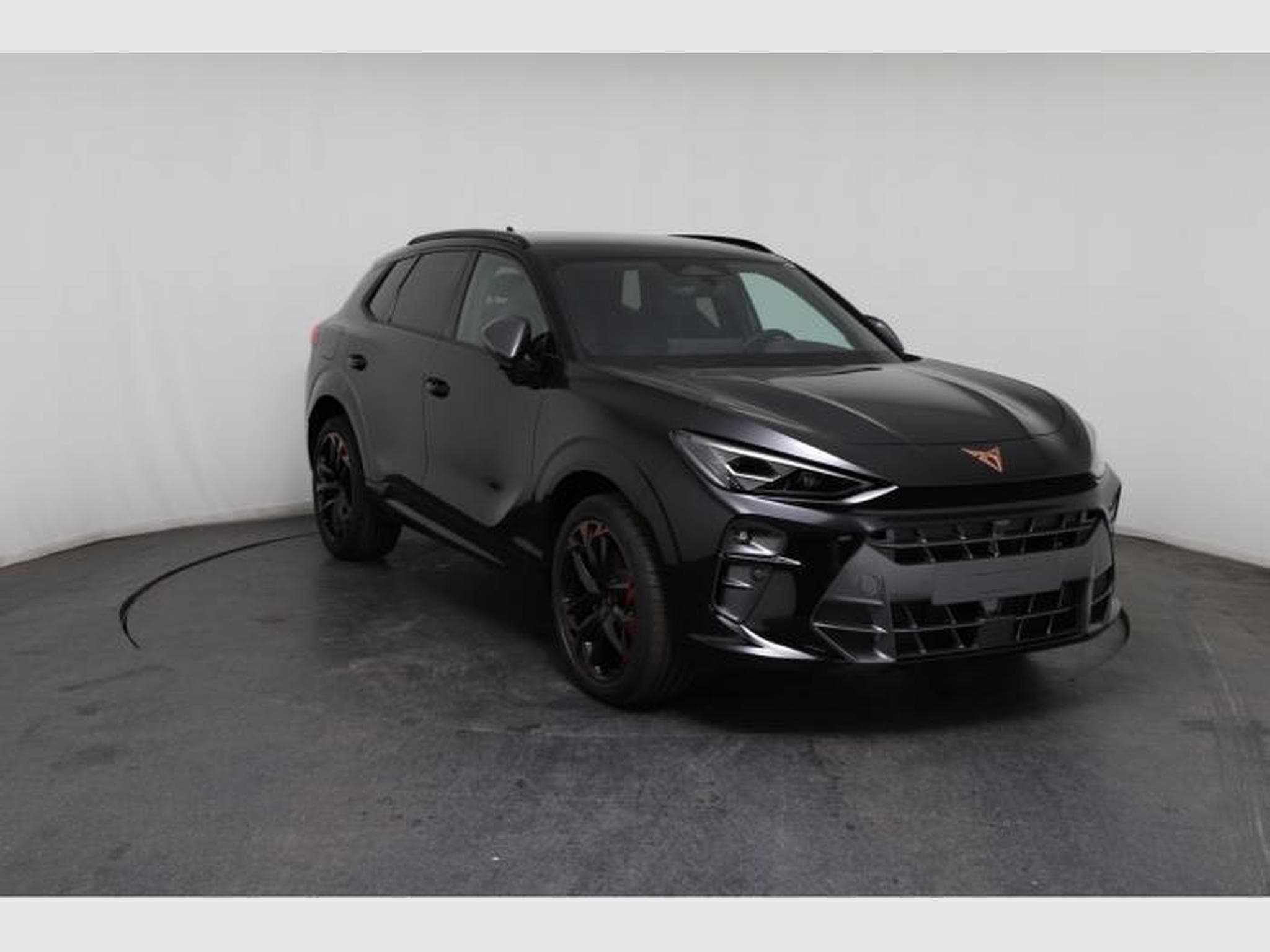 Cupra Terramar VZ (2025) - Photo 10