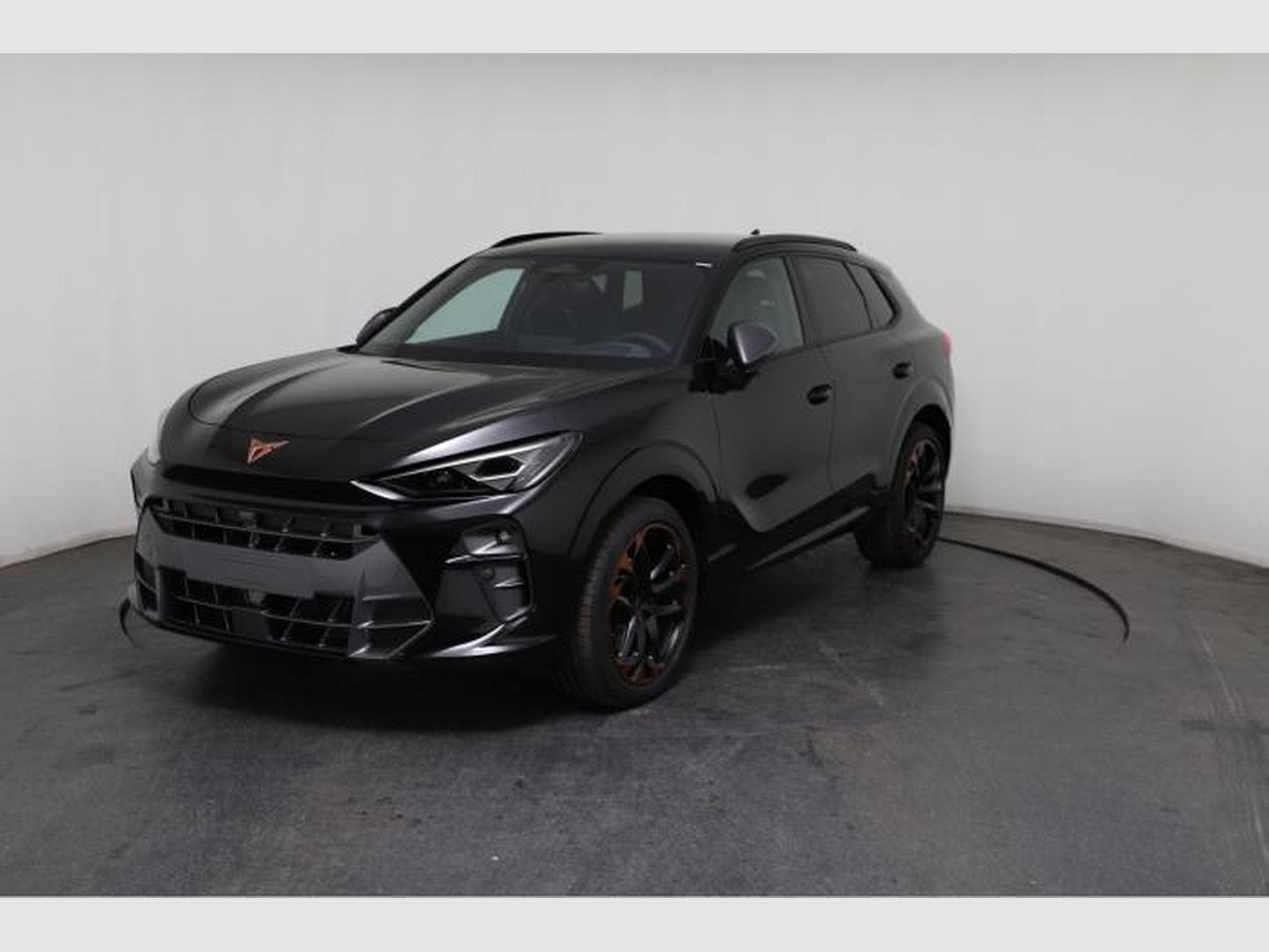 Cupra Terramar VZ (2025) - Photo 3