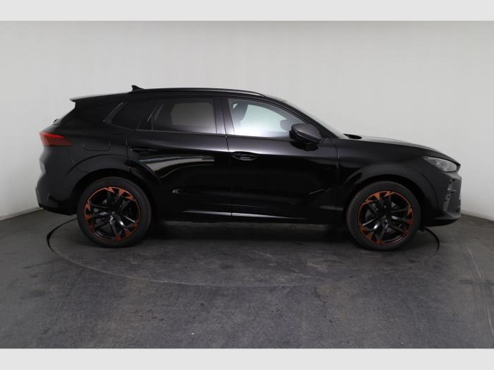 Cupra Terramar VZ (2025) - Photo 9