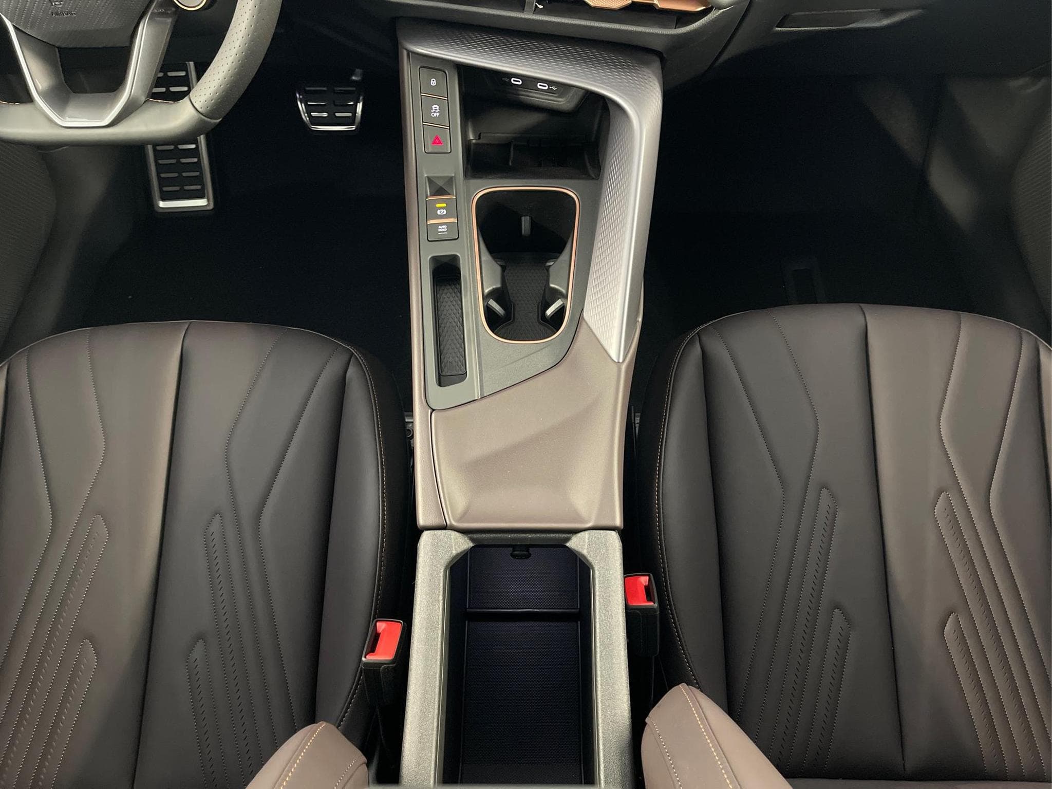 Cupra Terramar VZ (2025) - Photo 13