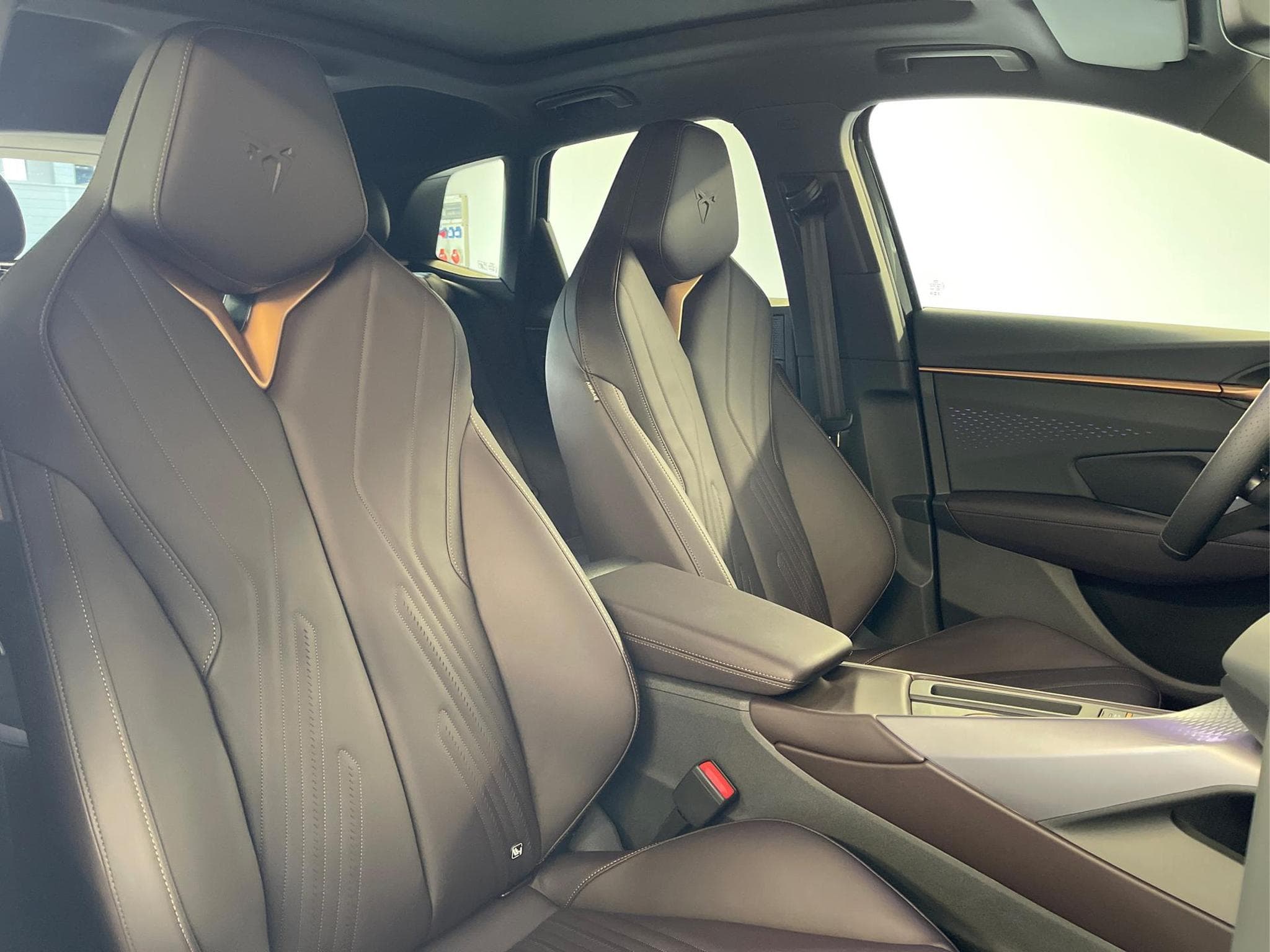 Cupra Terramar VZ (2025) - Photo 19