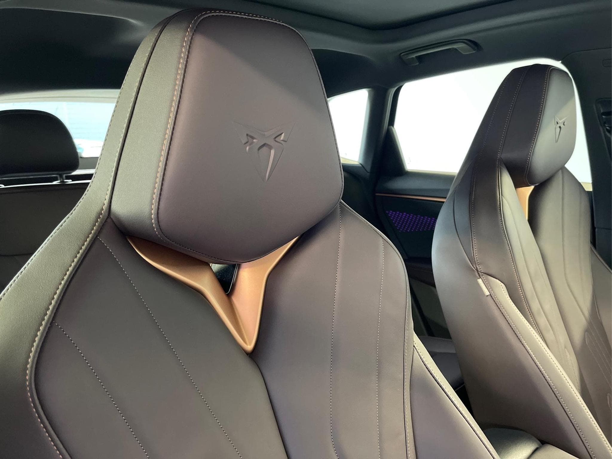 Cupra Terramar VZ (2025) - Photo 21