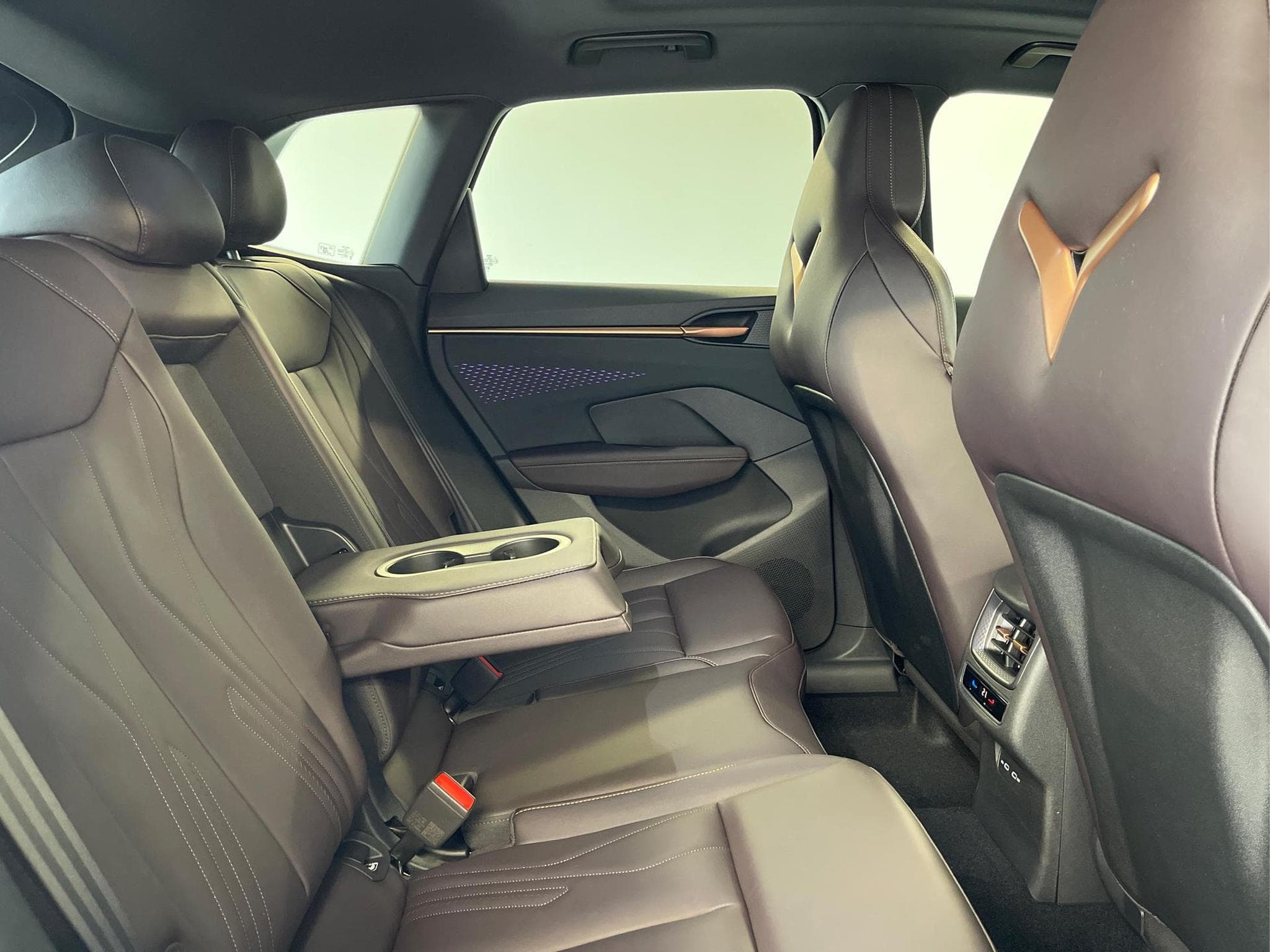 Cupra Terramar VZ (2025) - Photo 22