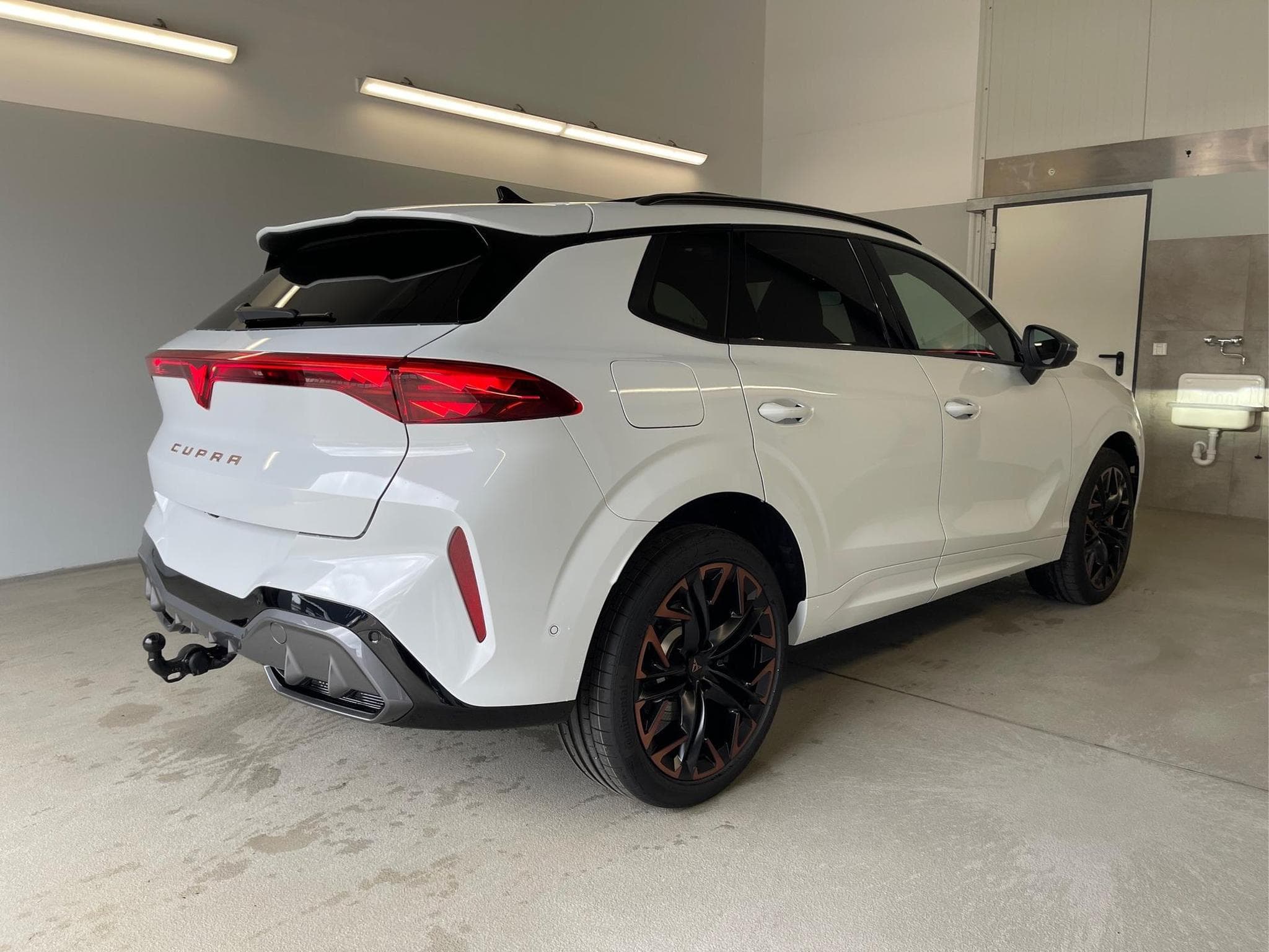 Cupra Terramar VZ (2025) - Photo 4