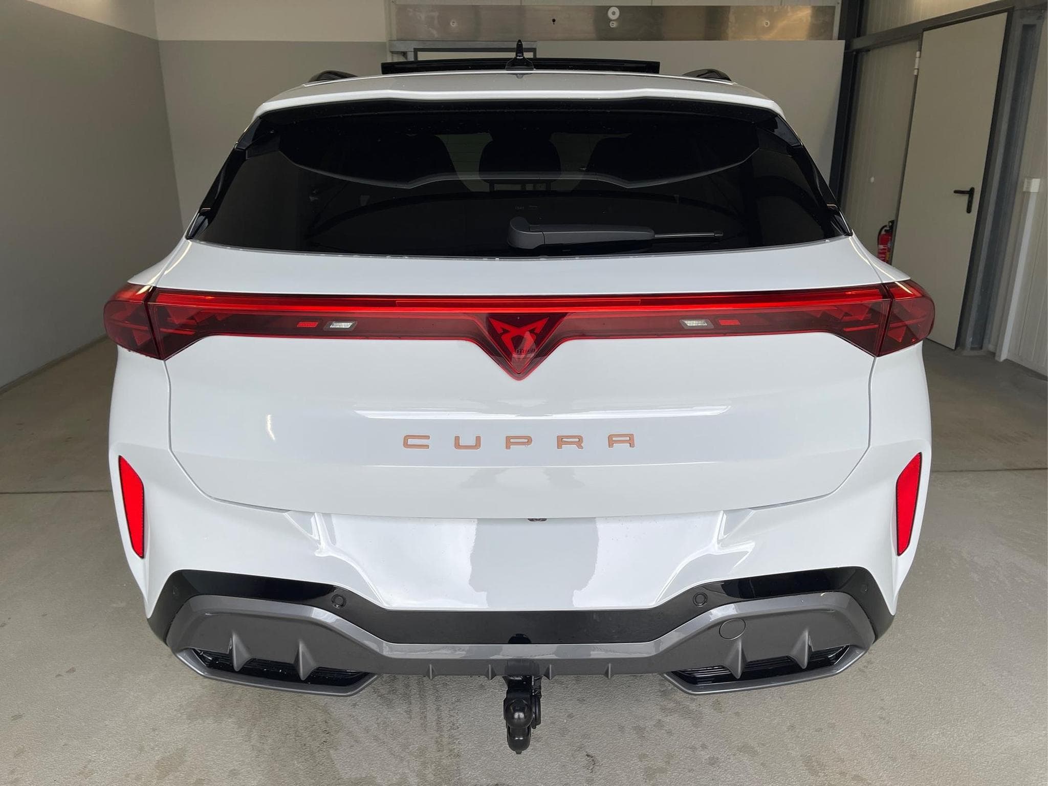Cupra Terramar VZ (2025) - Photo 5