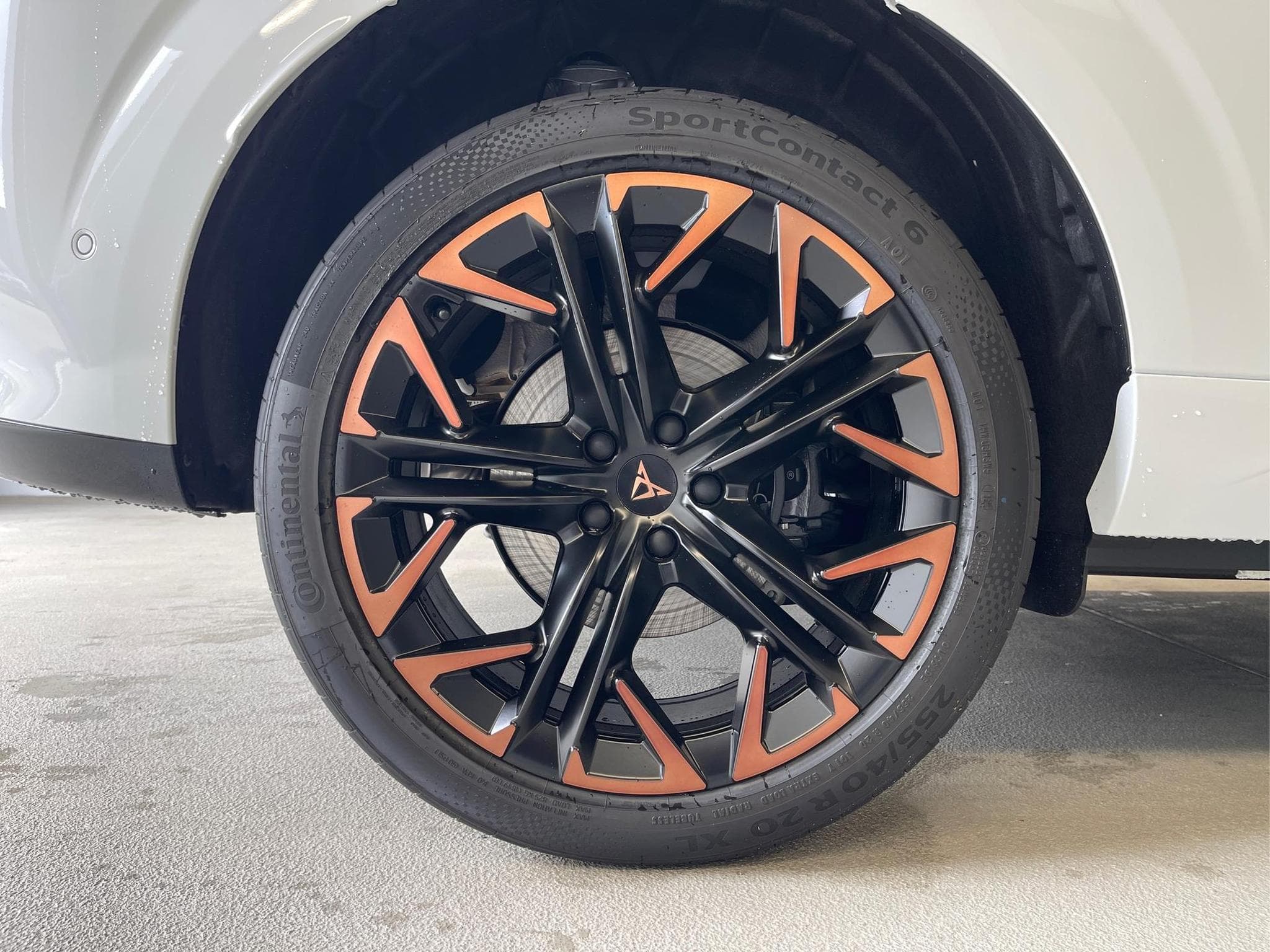 Cupra Terramar VZ (2025) - Photo 6